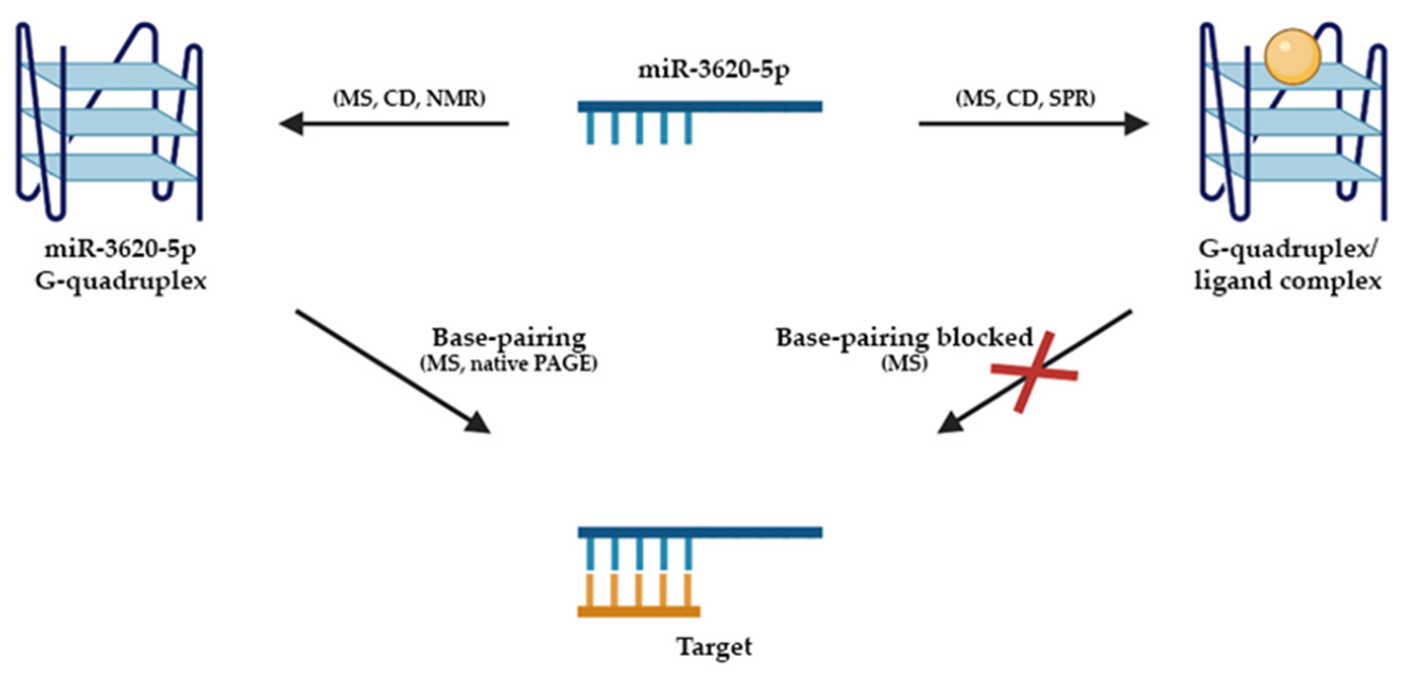 Molecules 26 06164 g009