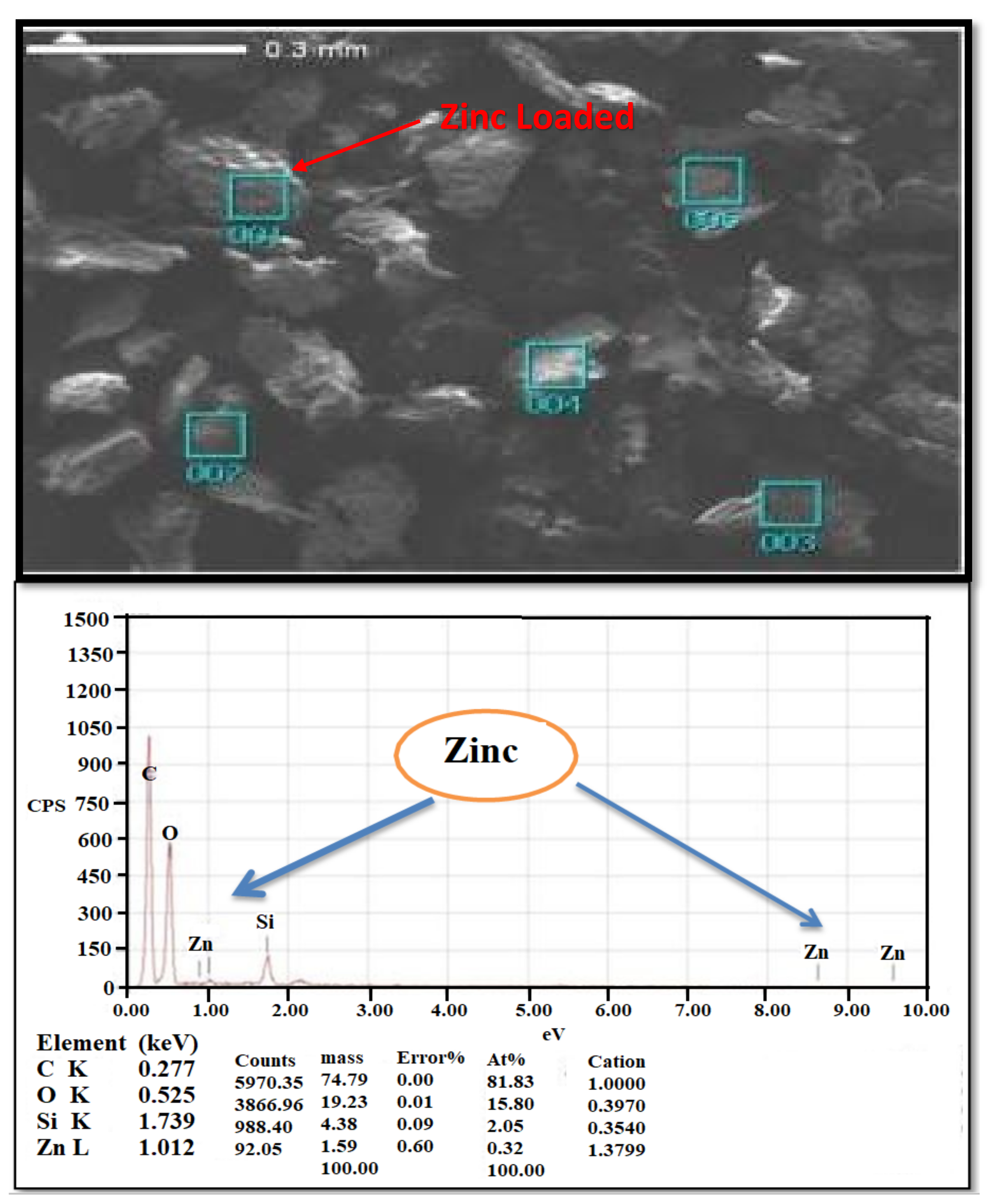 Molecules 26 06176 g003