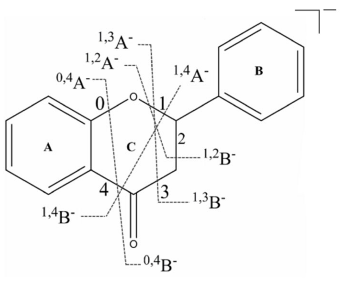 Molecules 26 06373 g003 Molecules 26 06373 g003