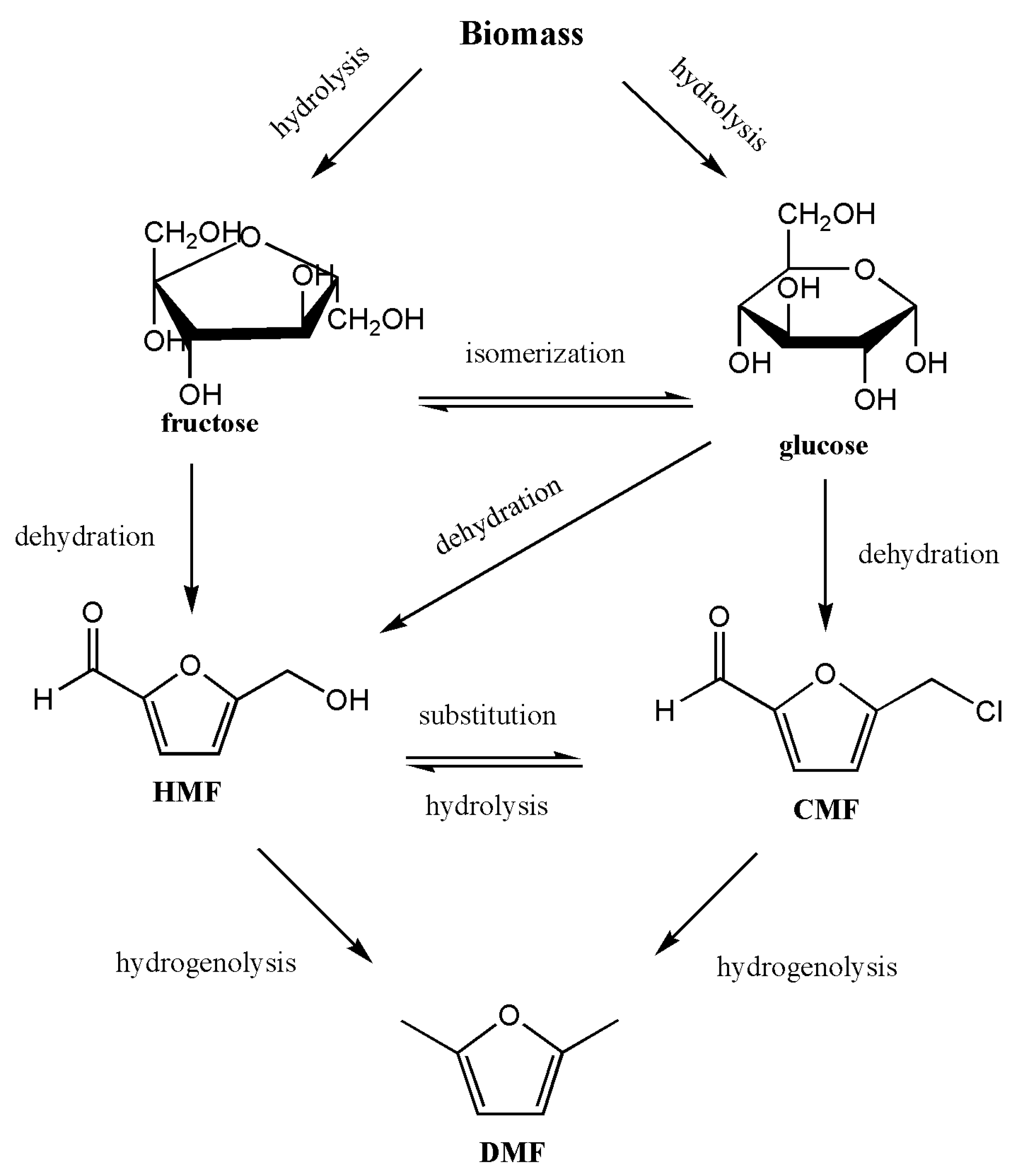 Molecules 26 06848 g006