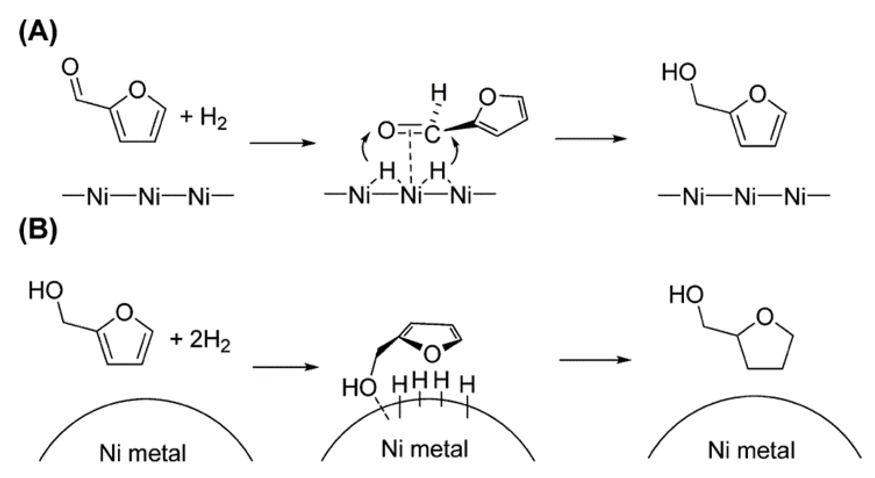 Molecules 26 06848 g007