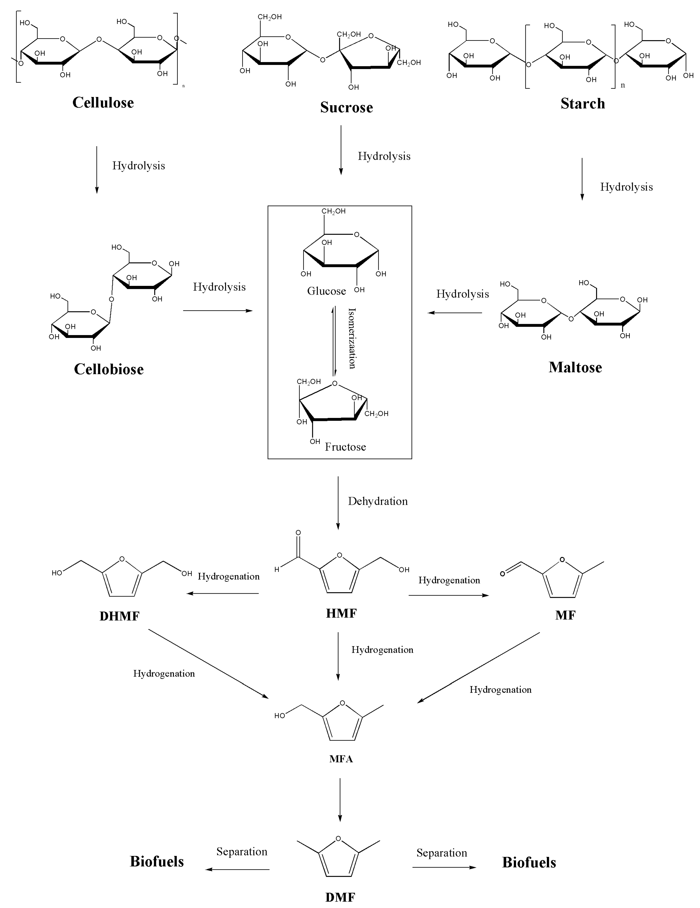 Molecules 26 06848 sch001