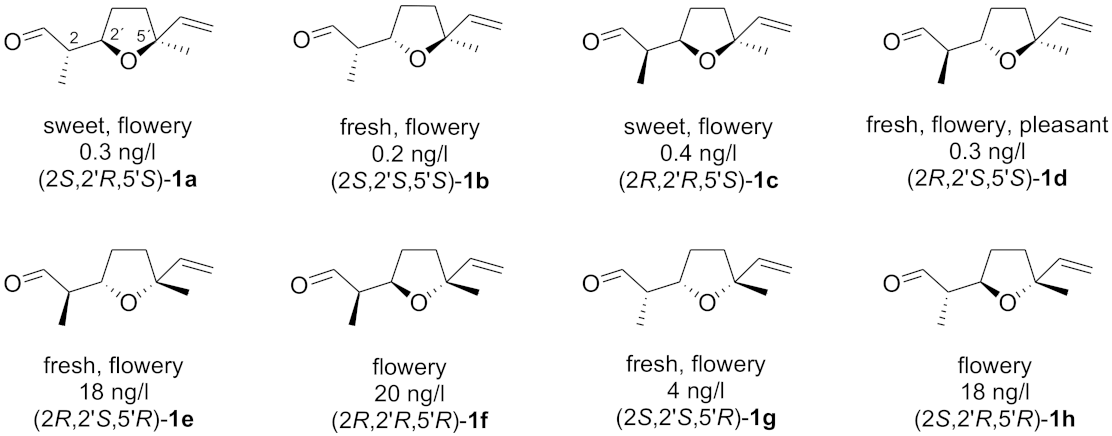 Molecules 26 07086 g001