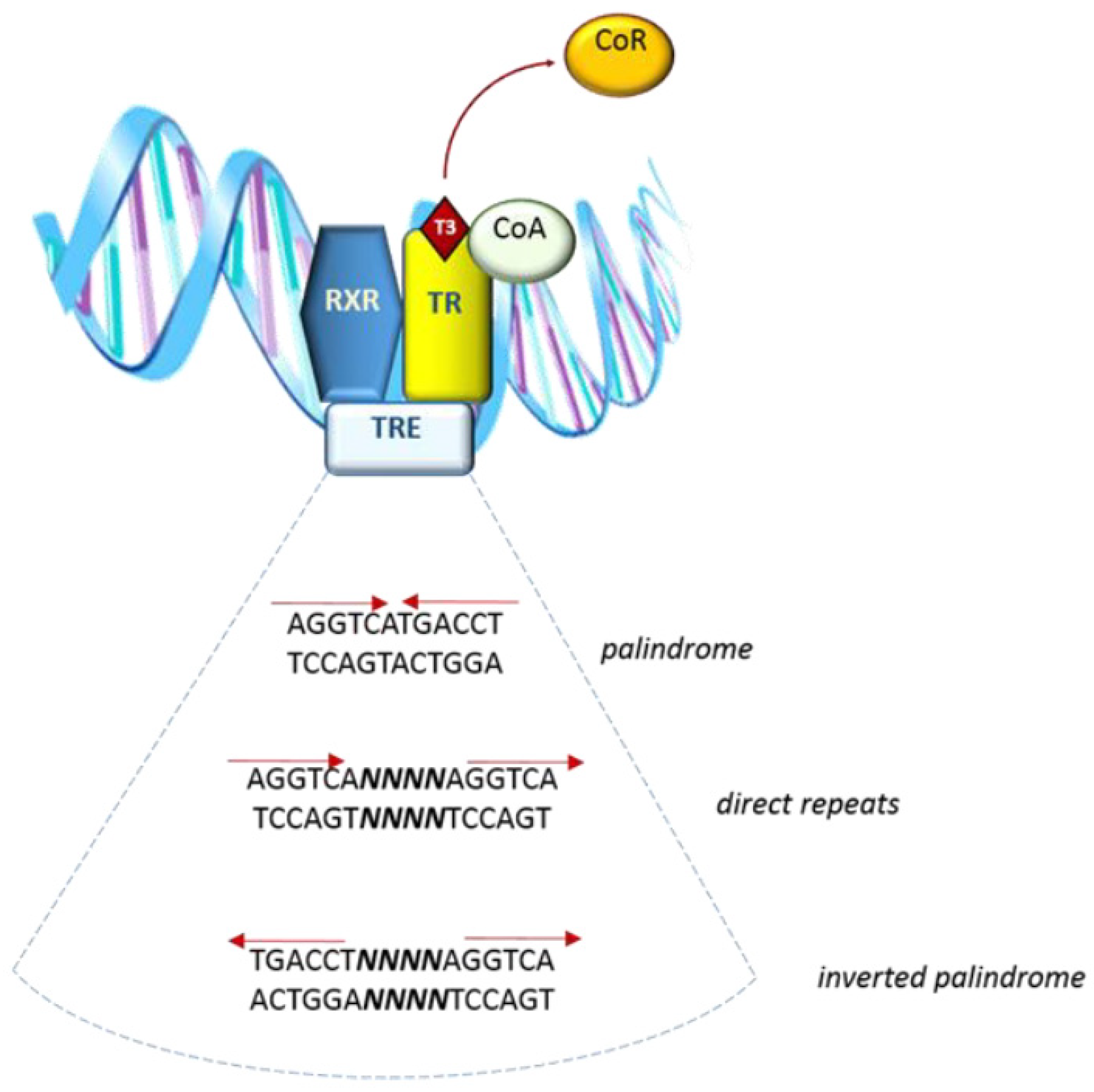 Molecules 26 07337 g001