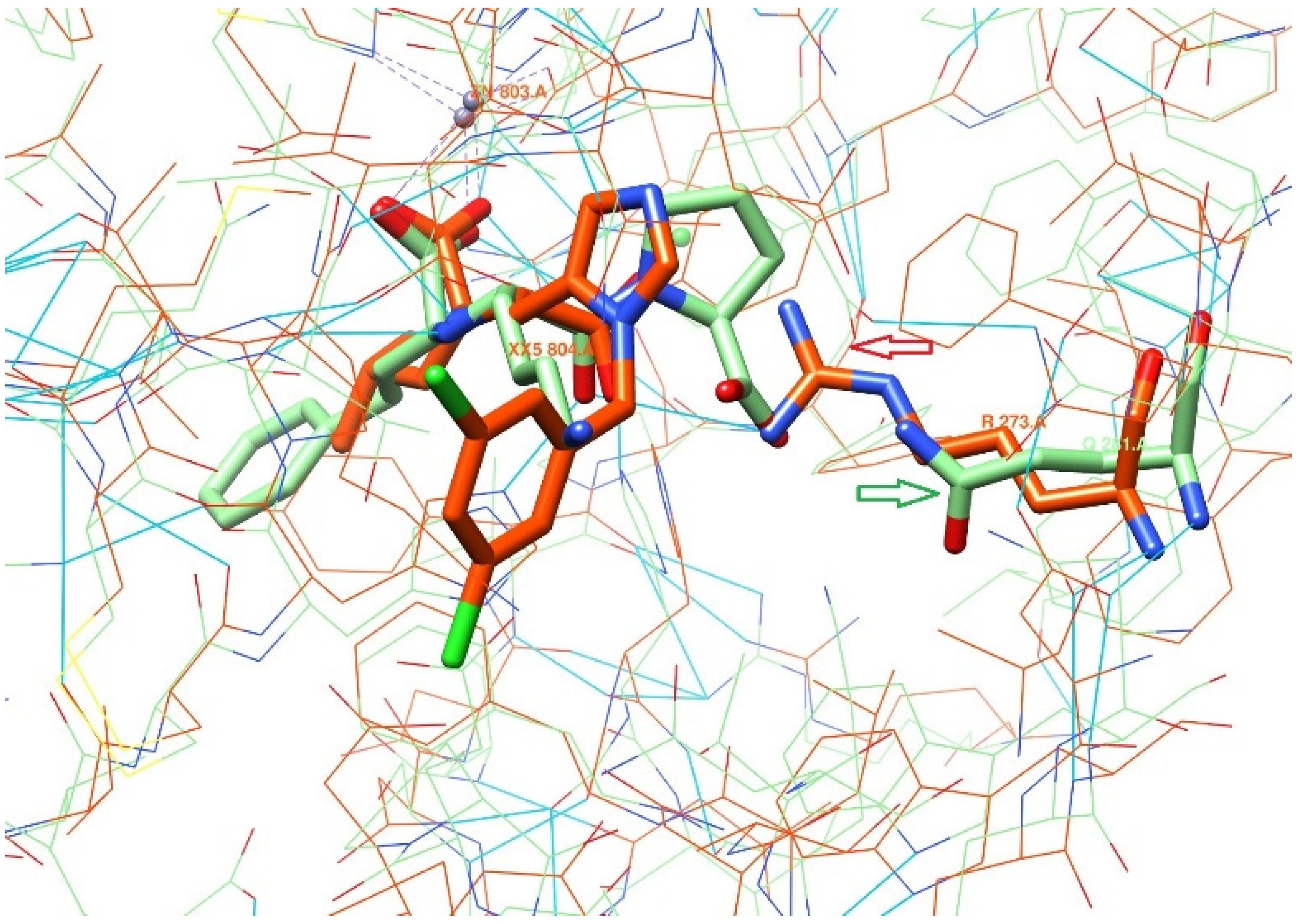 Molecules 26 07584 g002