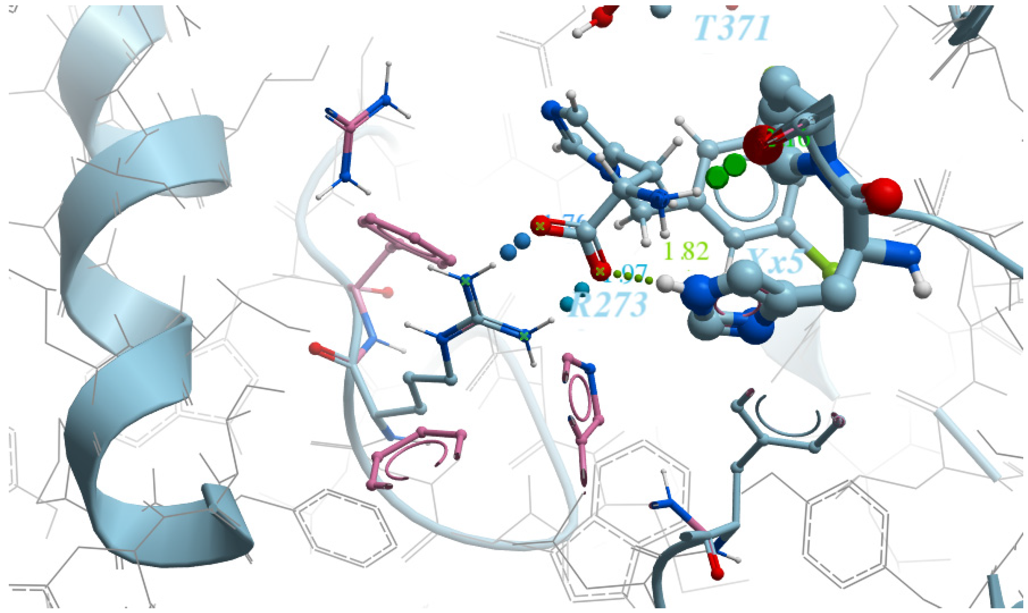 Molecules 26 07584 g003