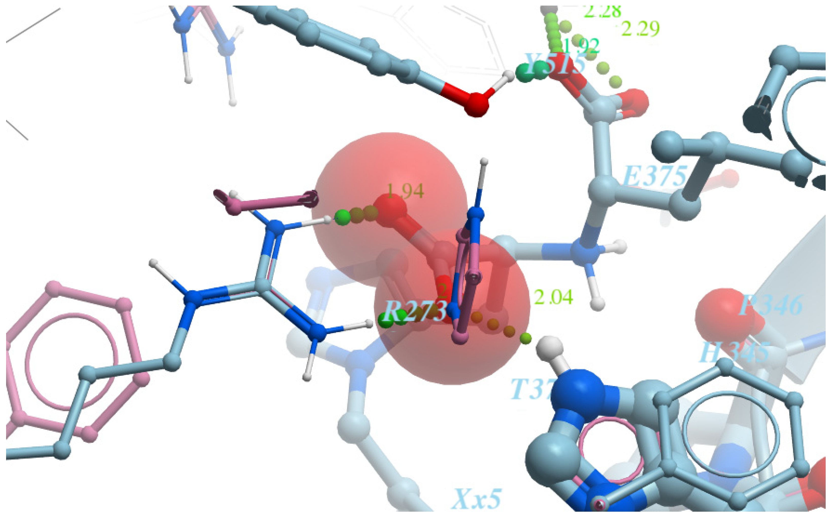 Molecules 26 07584 g004