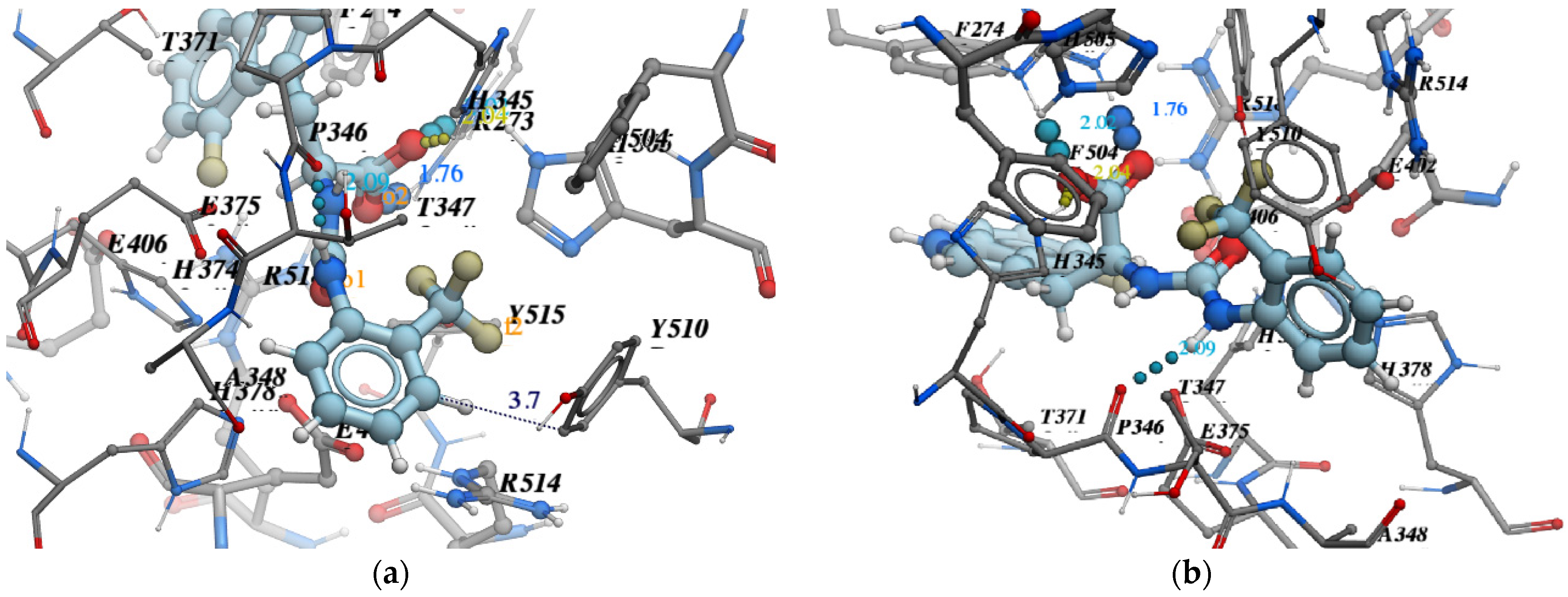 Molecules 26 07584 g007
