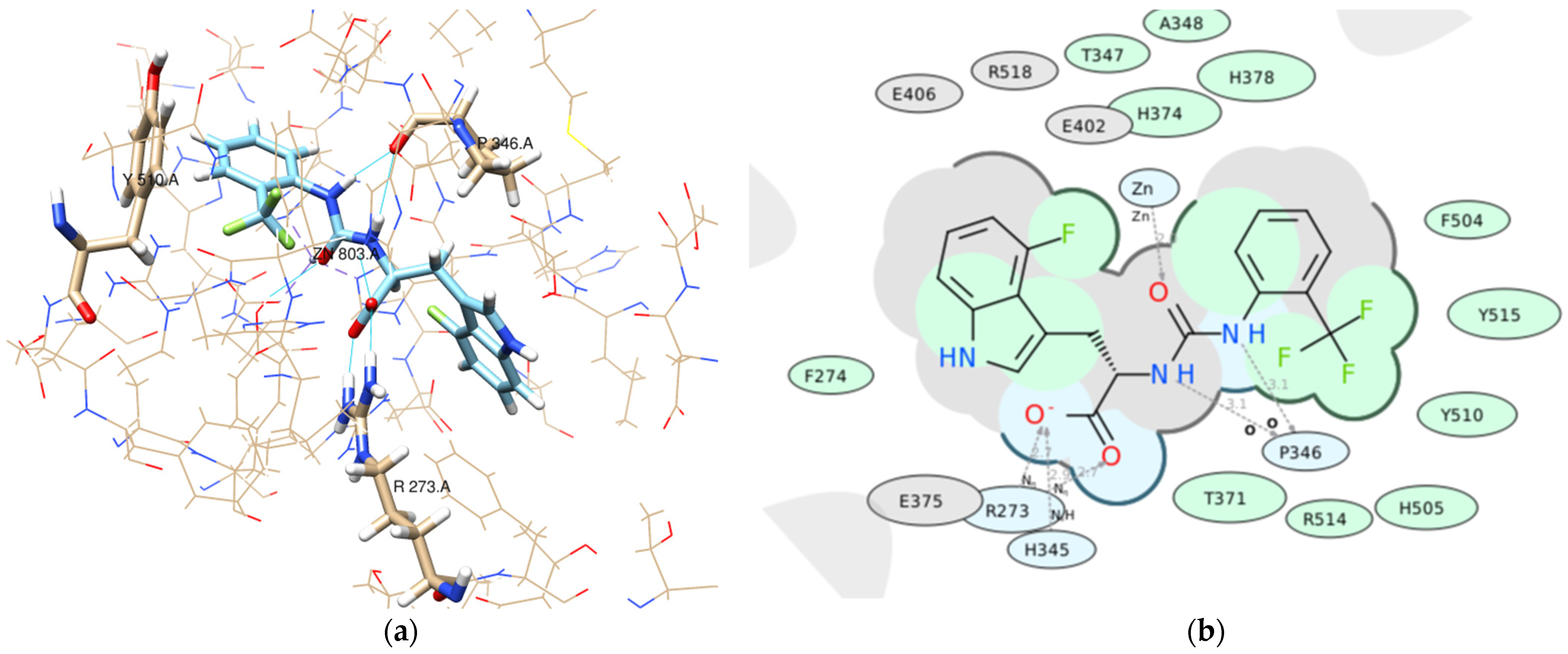 Molecules 26 07584 g009