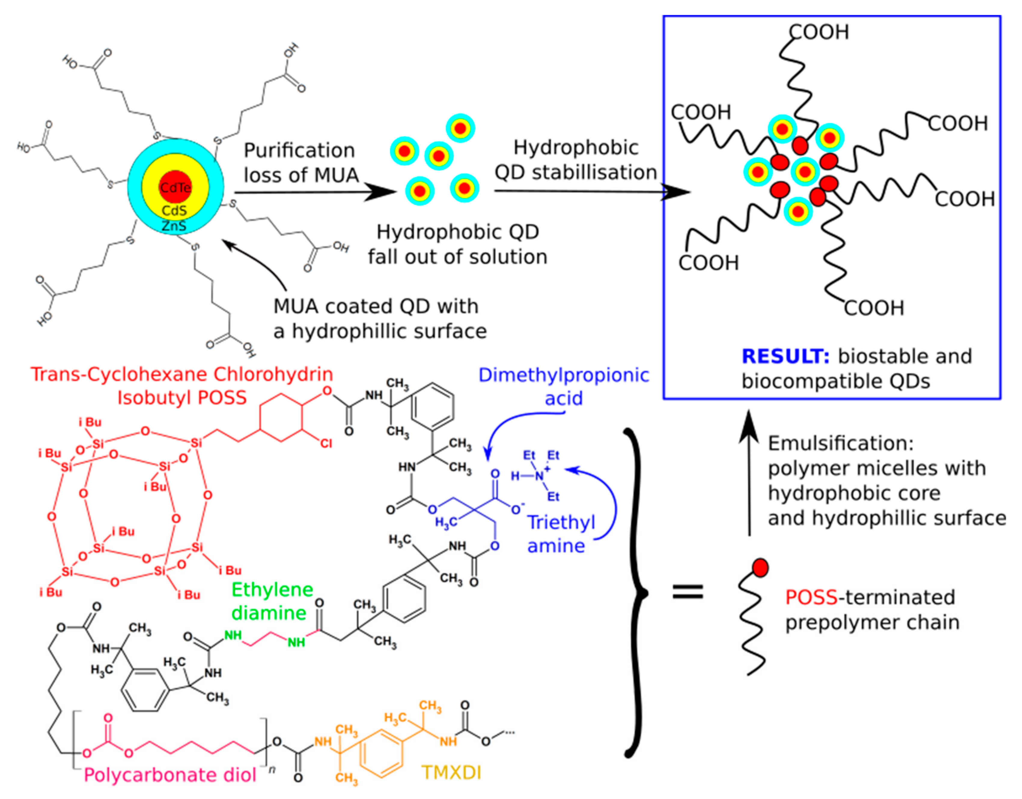 Molecules 27 00040 g005 Molecules 27 00040 g005