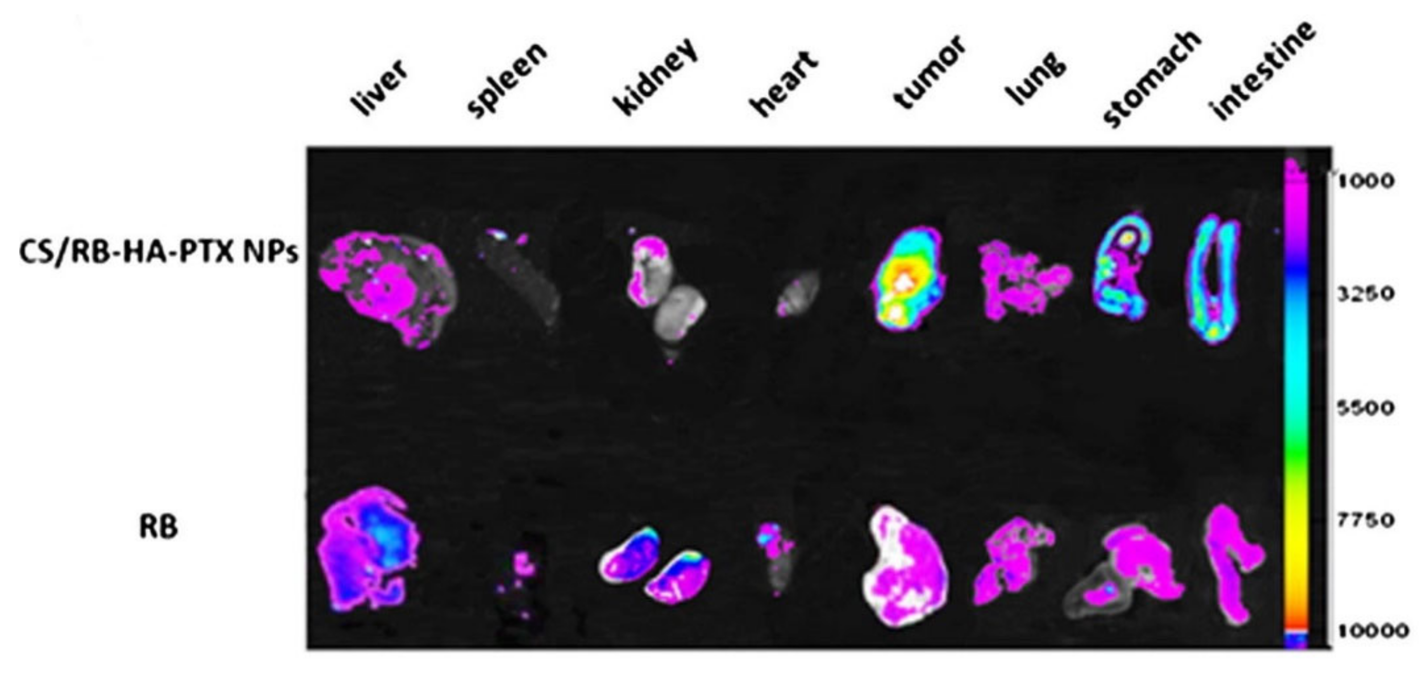 Molecules 27 00048 g005 Molecules 27 00048 g005
