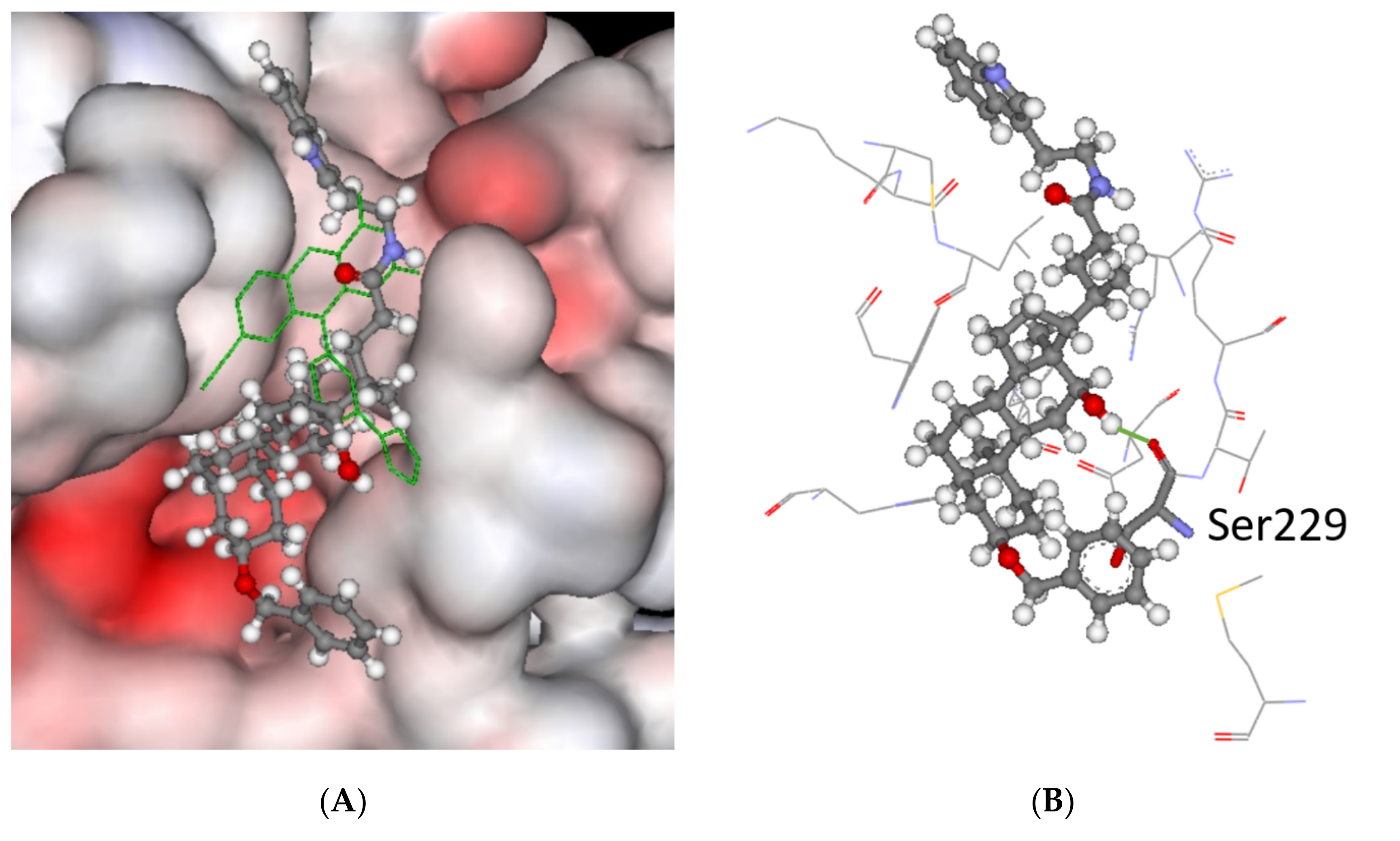Molecules 27 00072 g005 Molecules 27 00072 g005