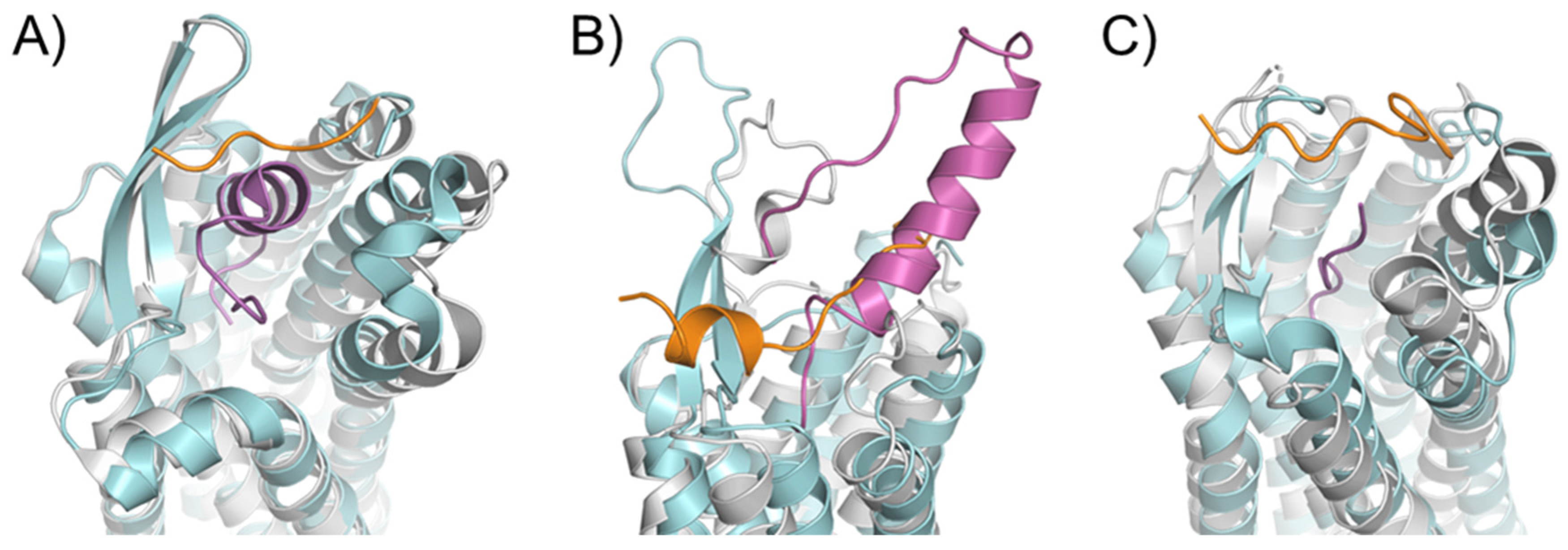 Molecules 27 00210 g003