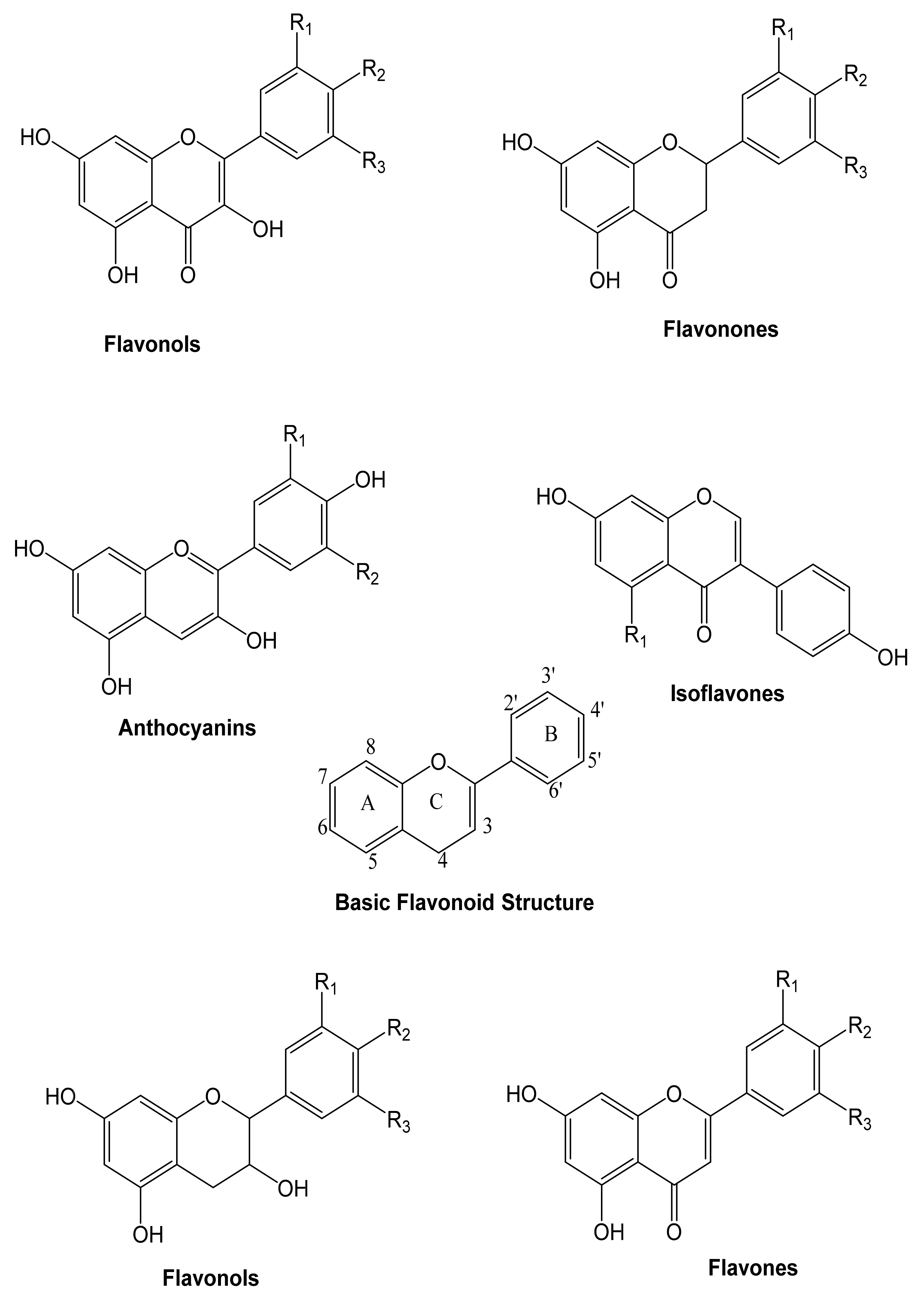 Molecules 27 00233 g003