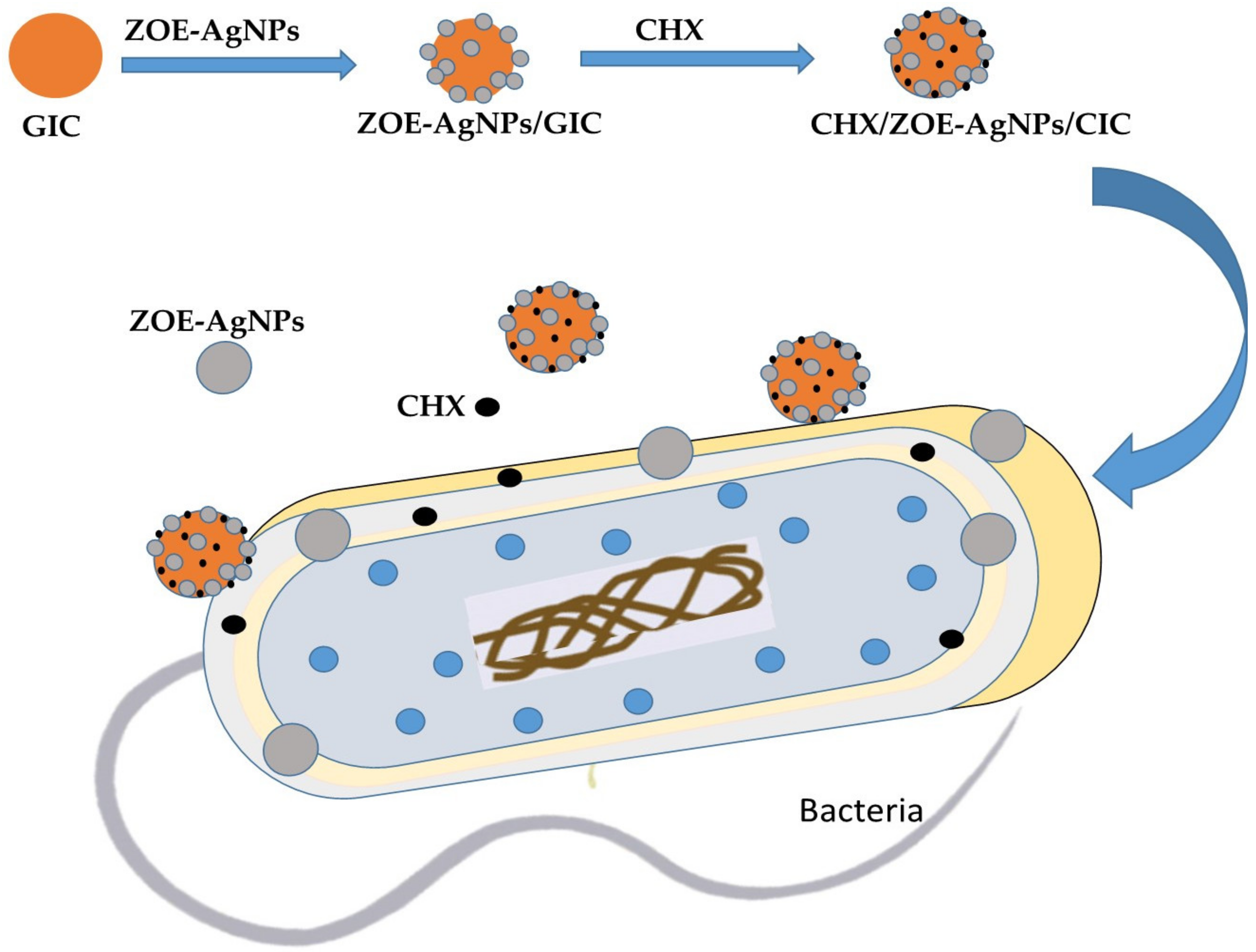 Molecules 27 00528 sch001