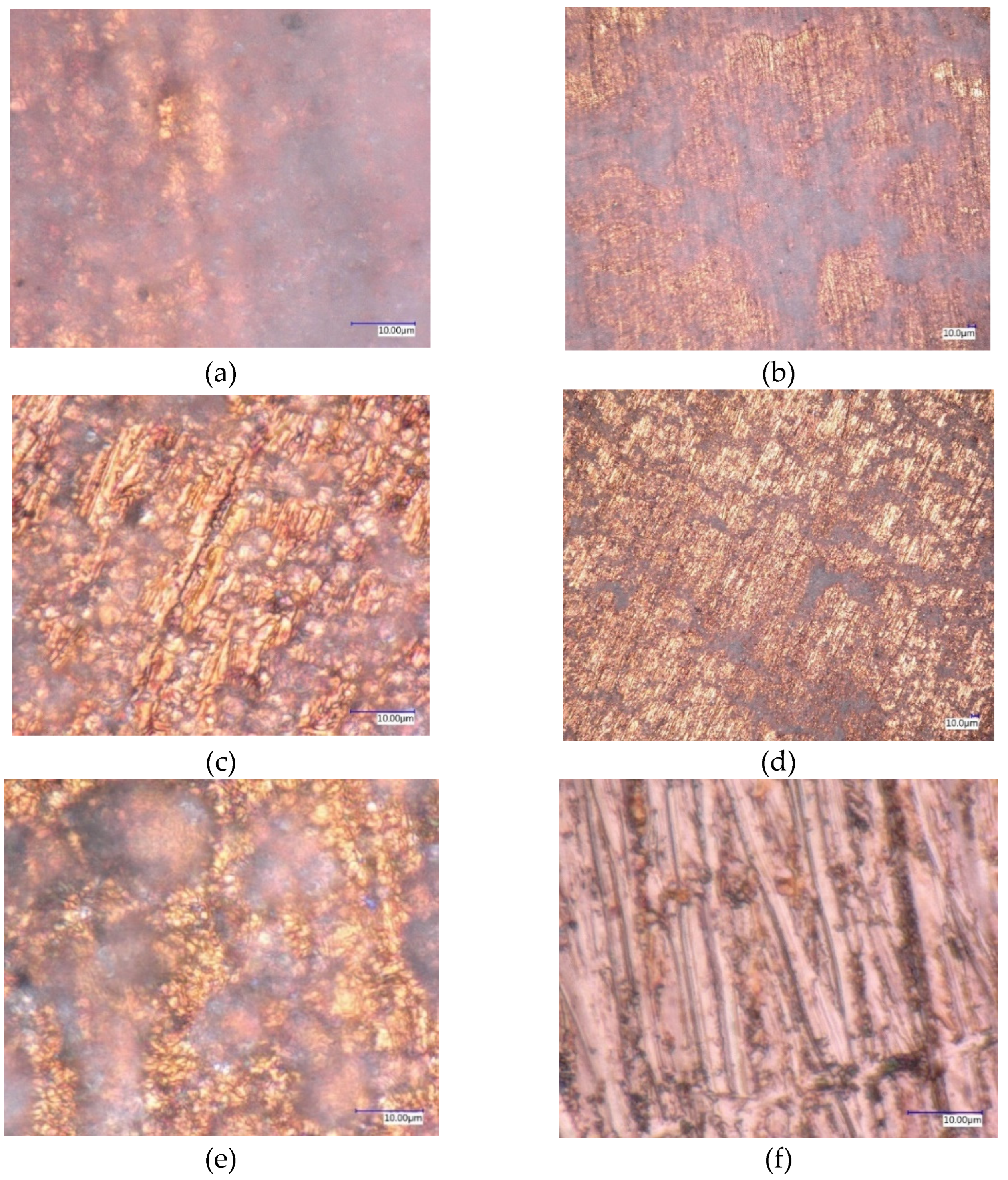 Molecules 27 00729 g007