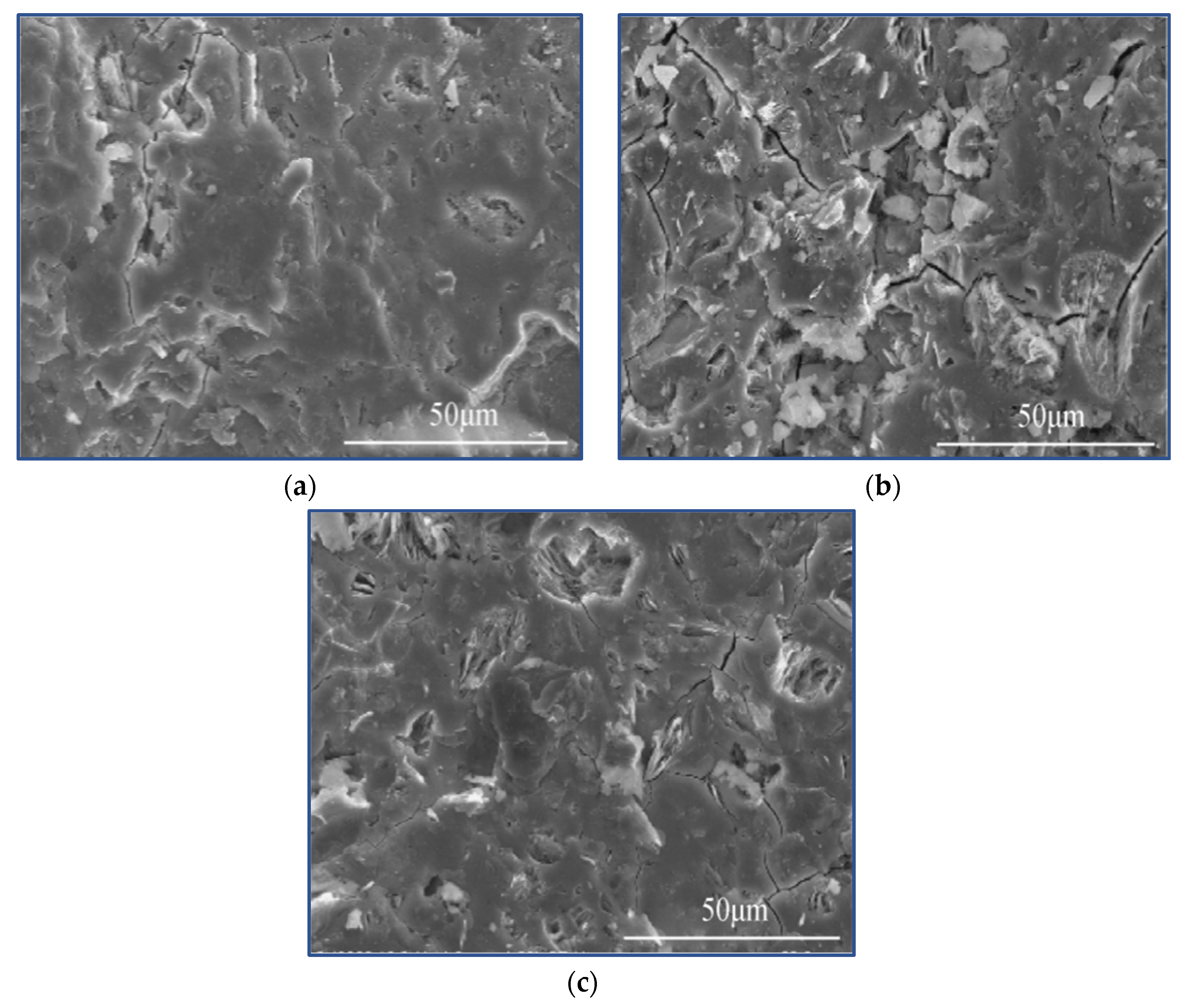 Molecules 27 00796 g006 Molecules 27 00796 g006