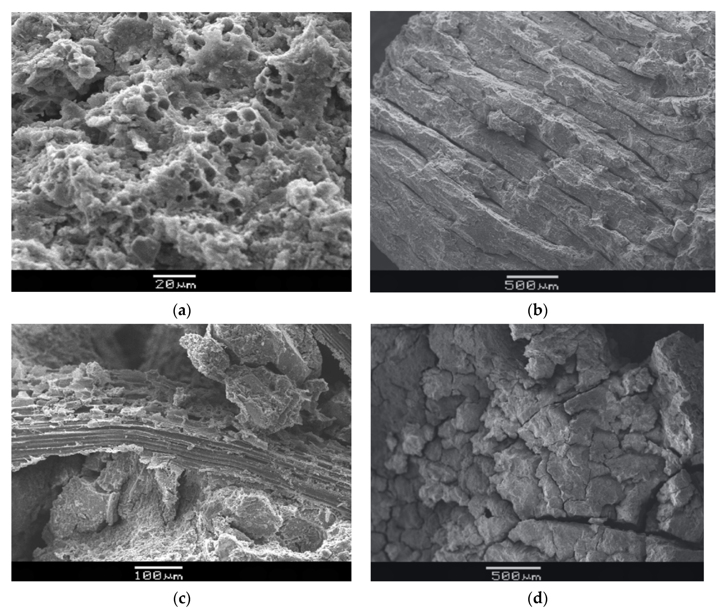 Molecules 27 00796 g007 Molecules 27 00796 g007