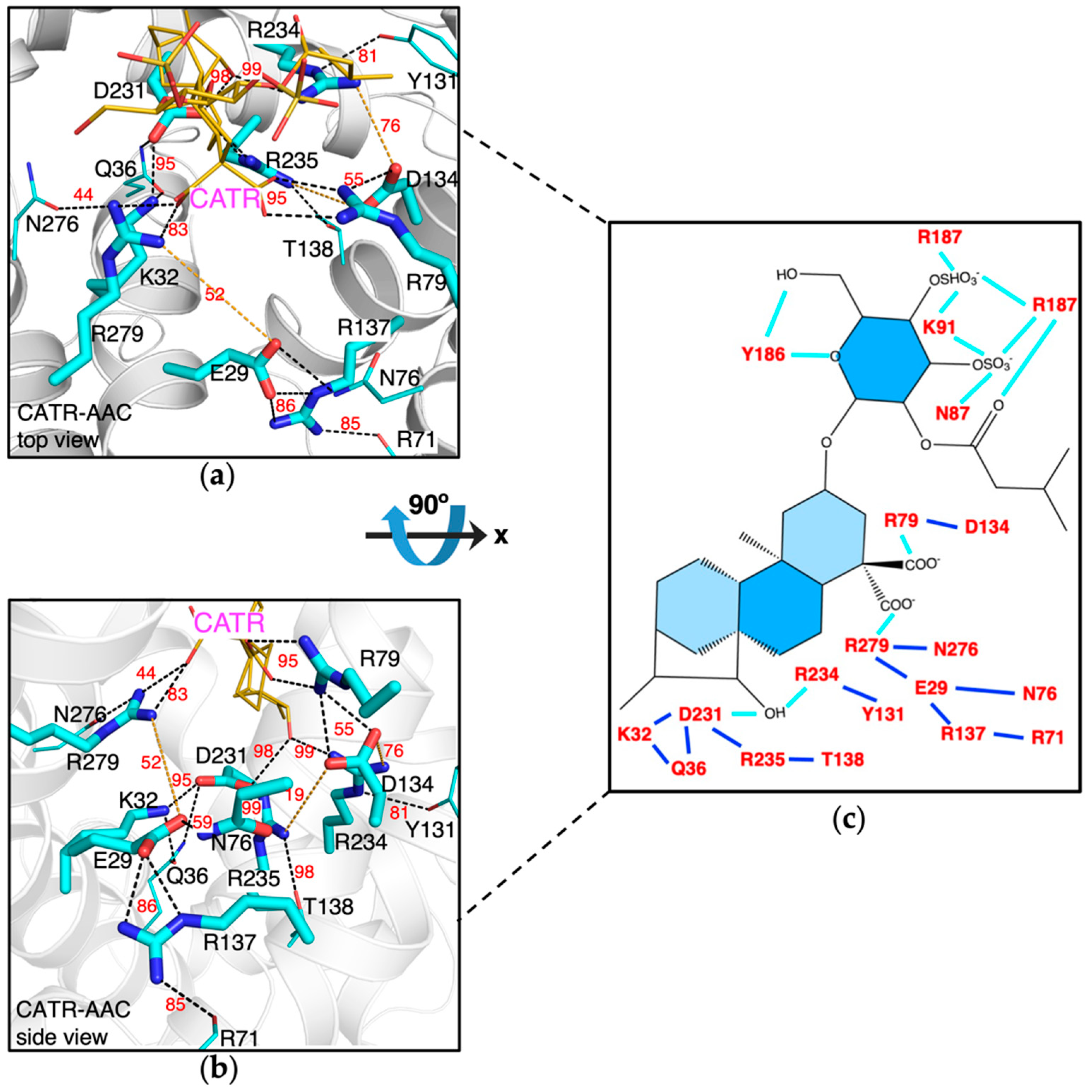 Molecules 27 01071 g003 Molecules 27 01071 g003