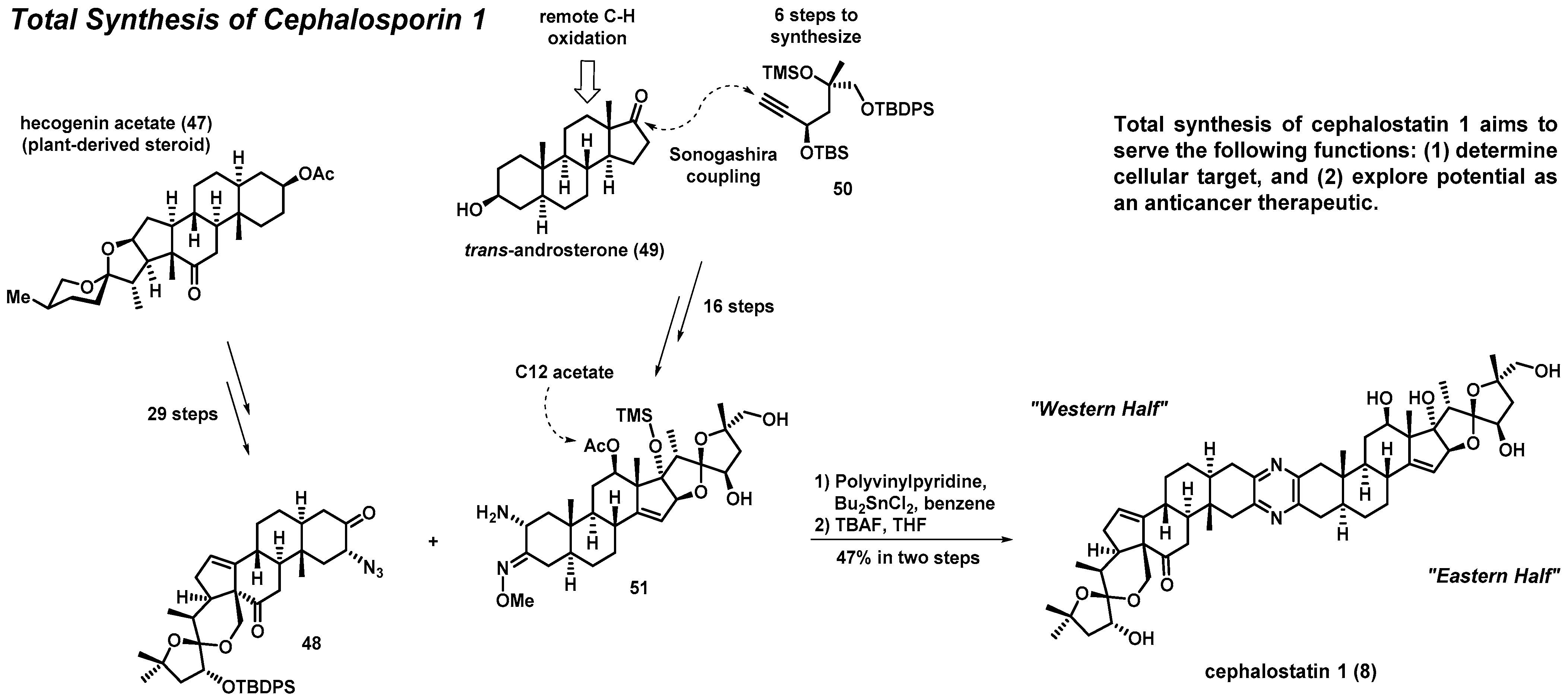 Molecules 27 01112 sch003