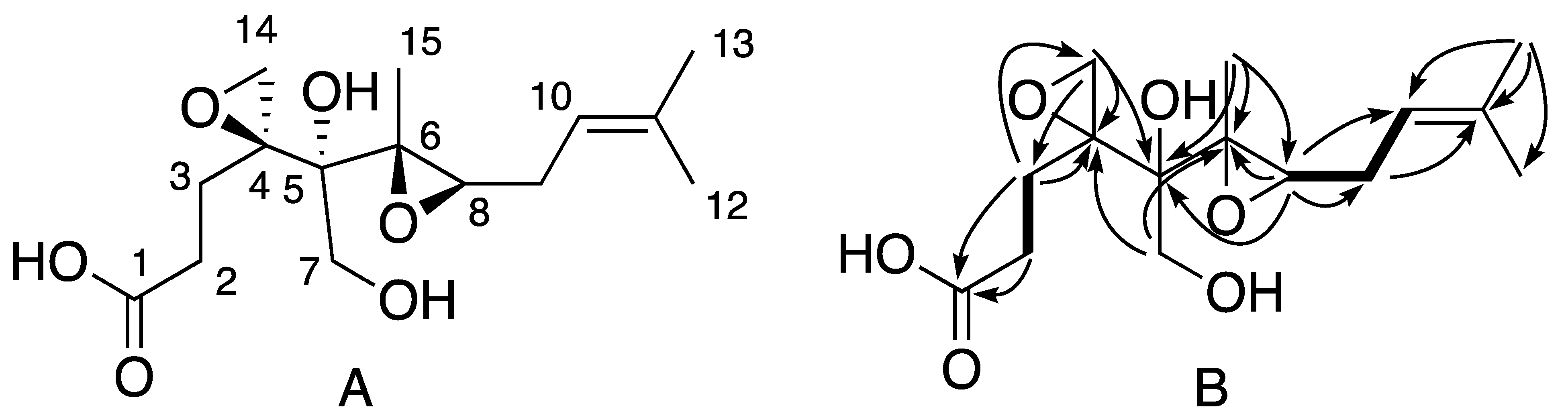 Molecules 27 01182 g005