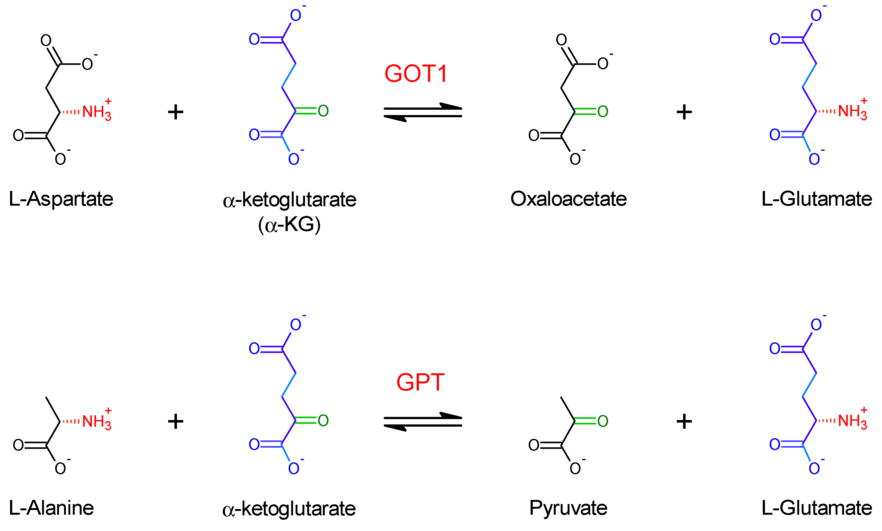 Molecules 27 01398 sch001