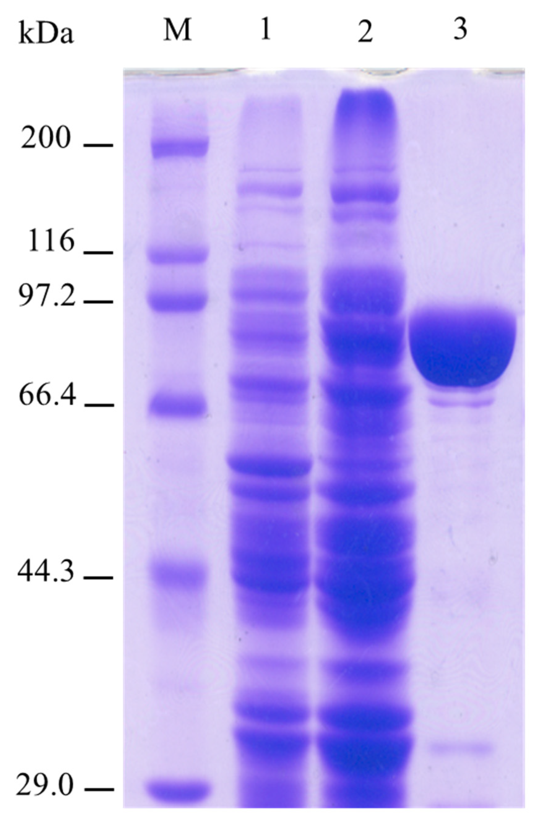 Molecules 27 01514 g002