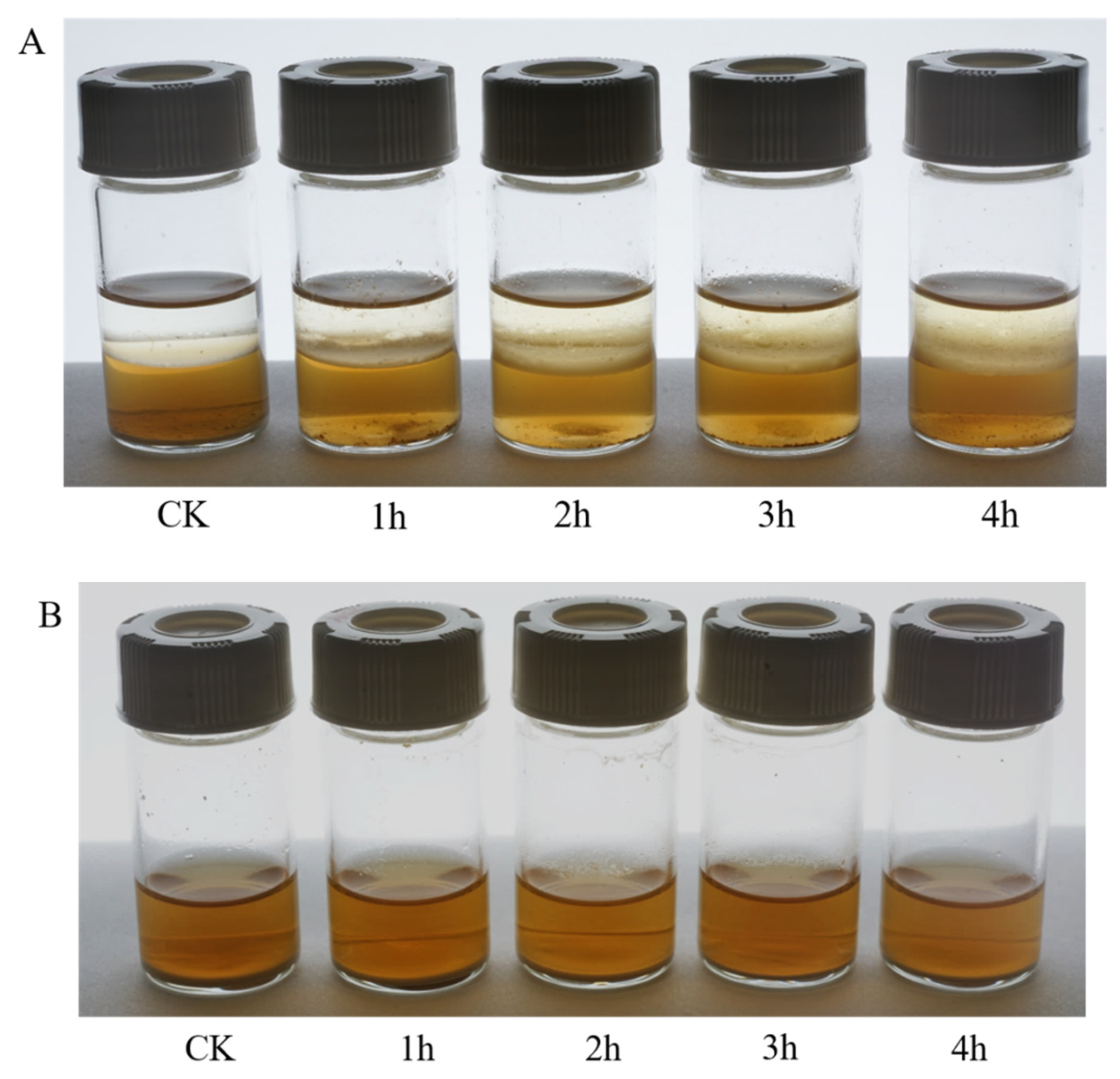 Molecules 27 01514 g008
