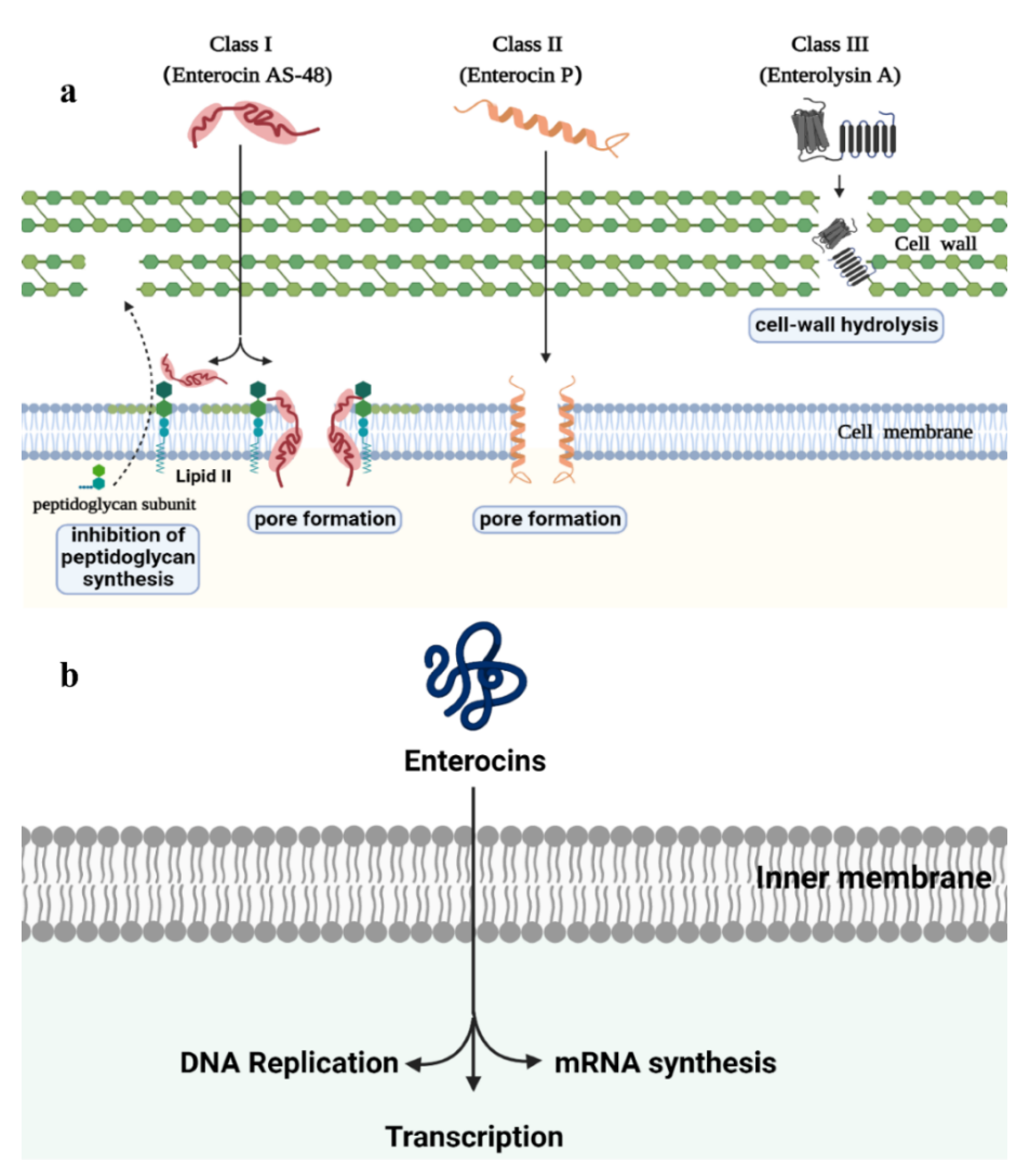 Molecules 27 02258 g002