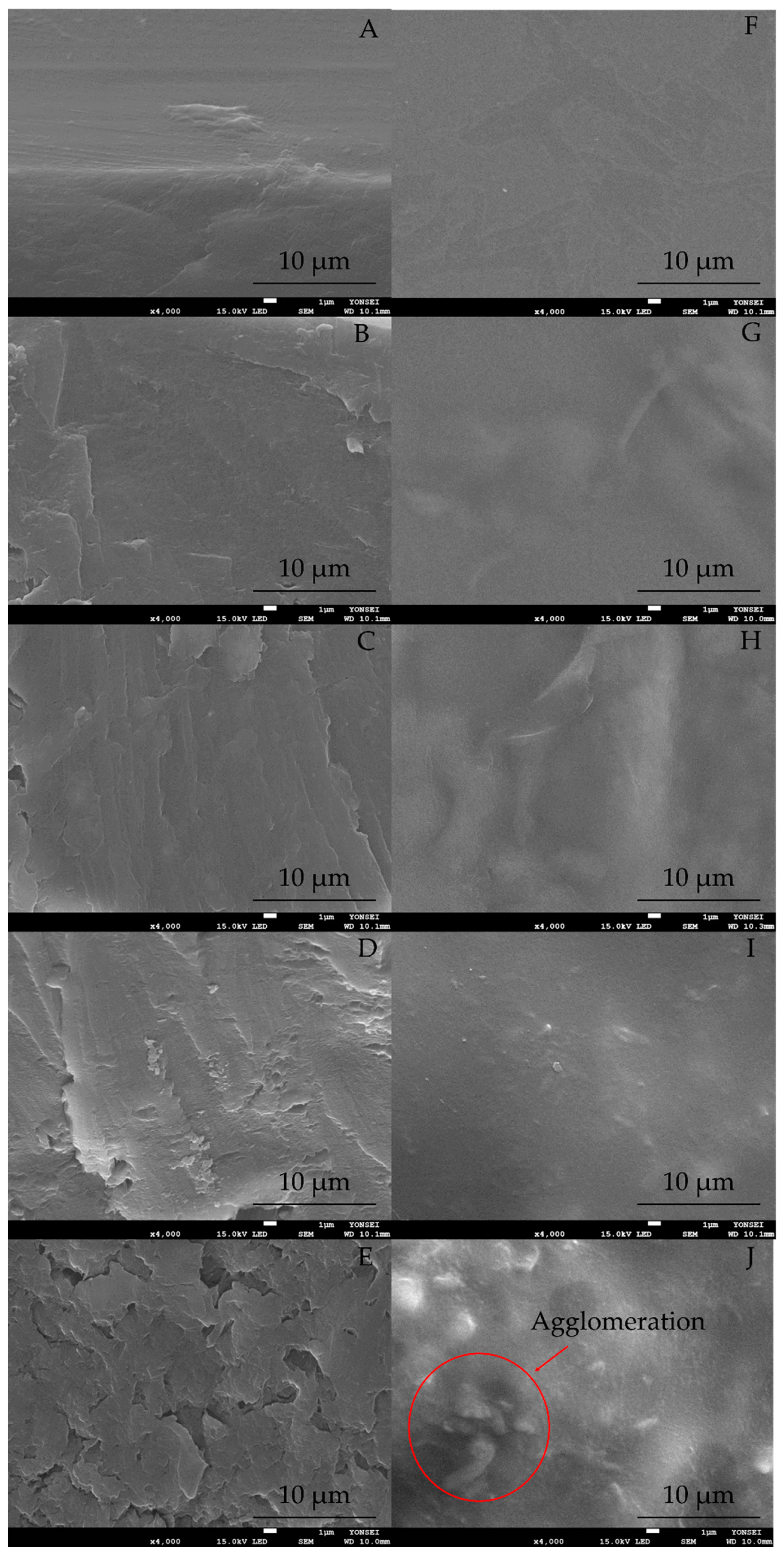 Molecules 27 02752 g001