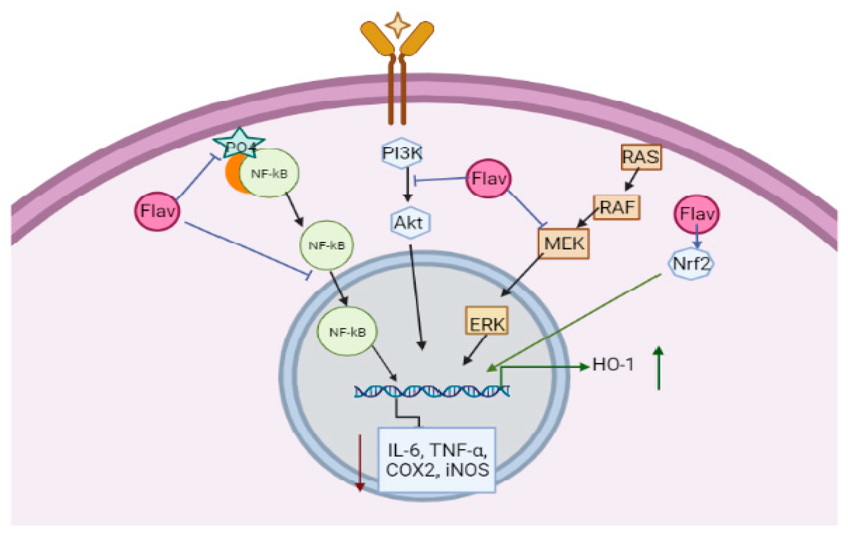Molecules 27 02901 g002