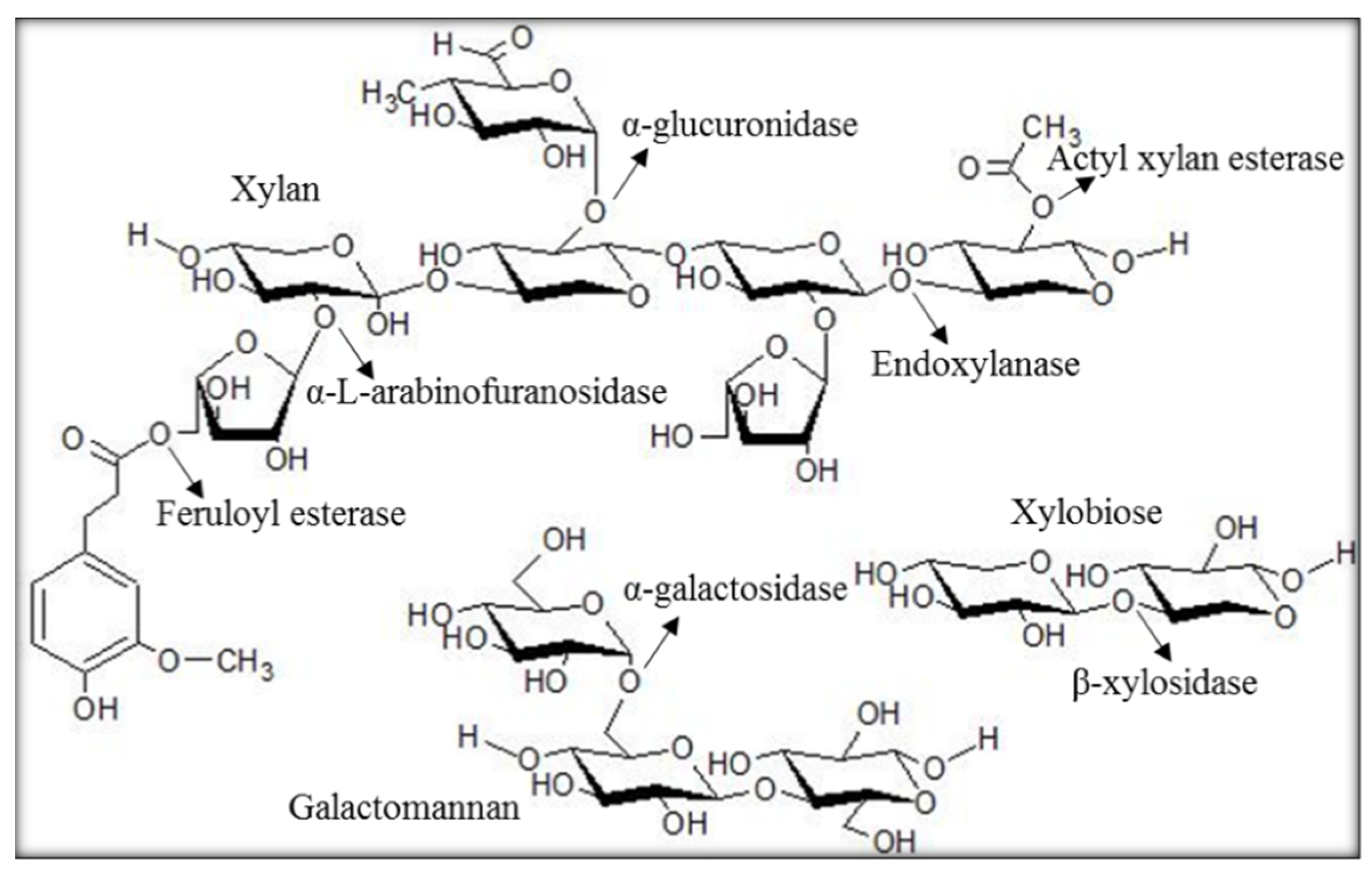 Molecules 27 02999 g001