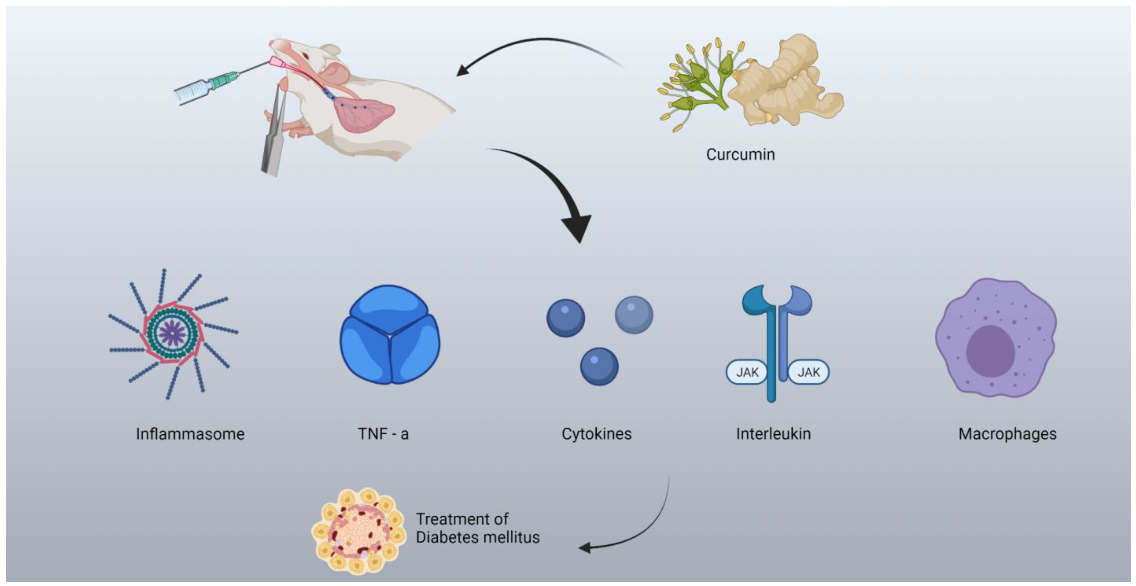 Molecules Free Full Text How Curcumin Targets Inflammatory