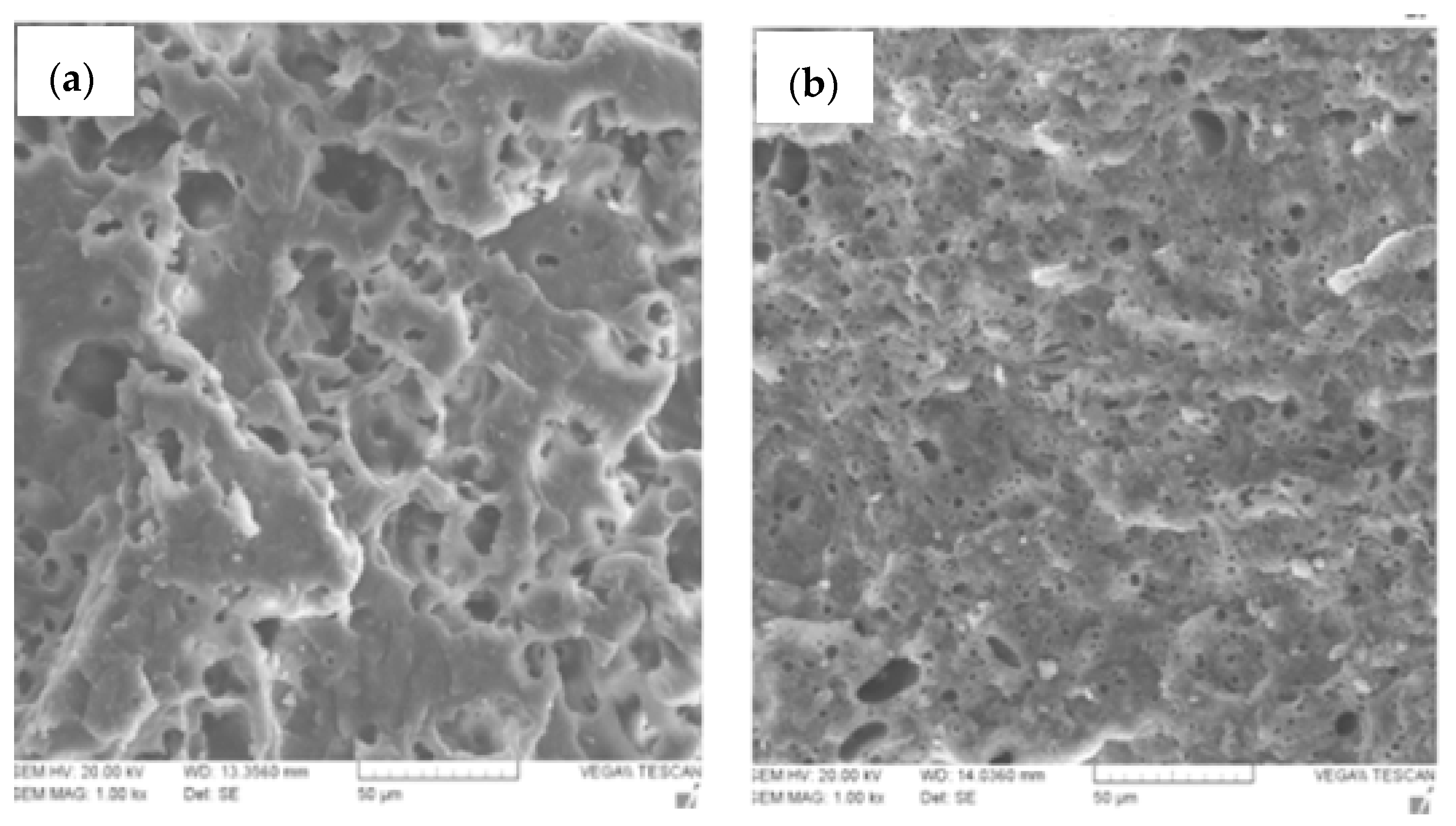 Molecules 27 04135 g007 Molecules 27 04135 g007