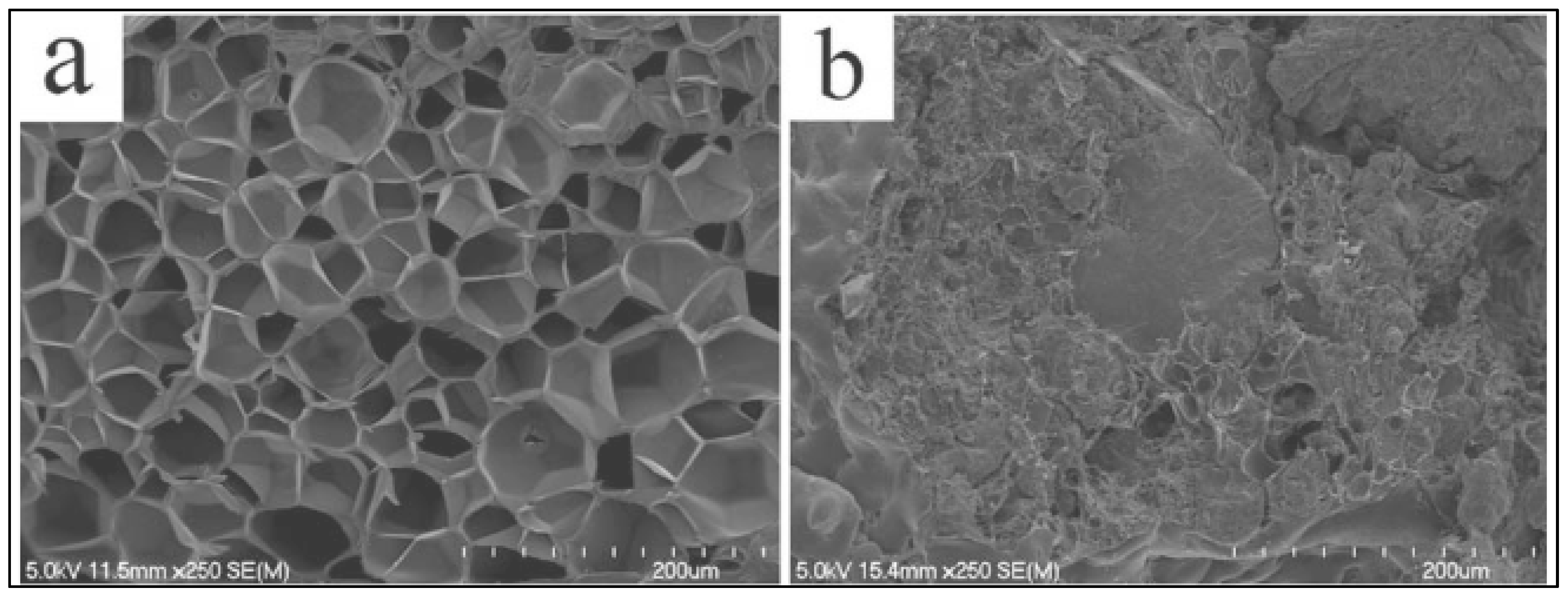 Molecules 27 04135 g013 Molecules 27 04135 g013