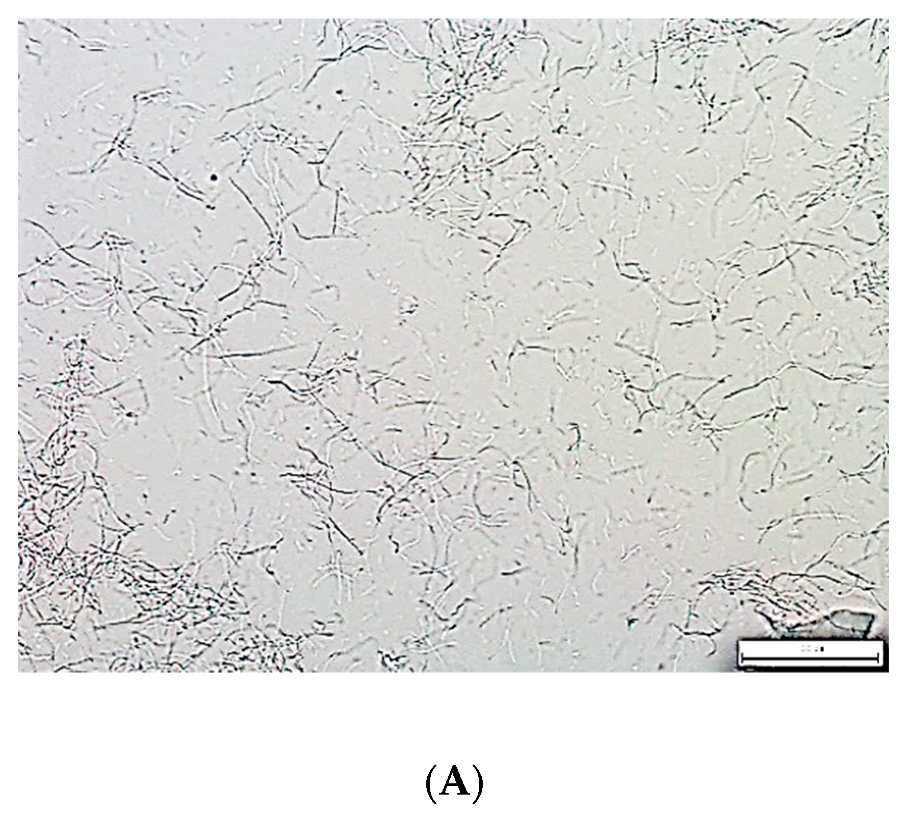 Molecules 27 04338 g001a
