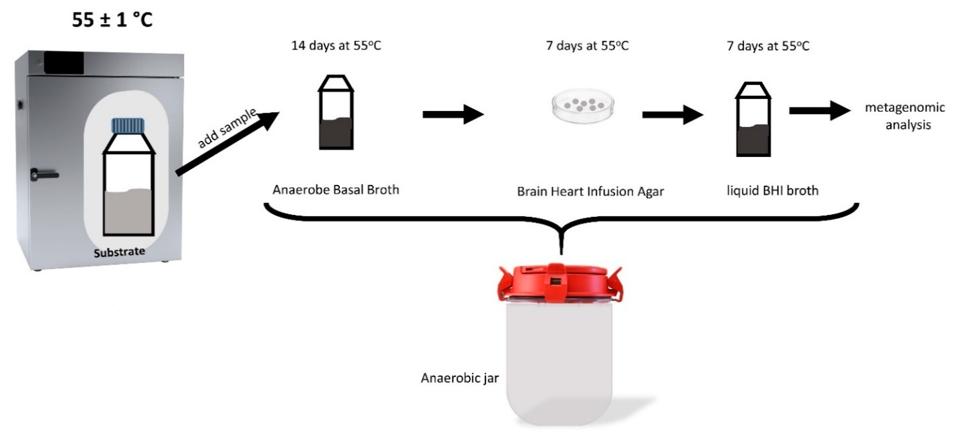Molecules 27 04338 g003