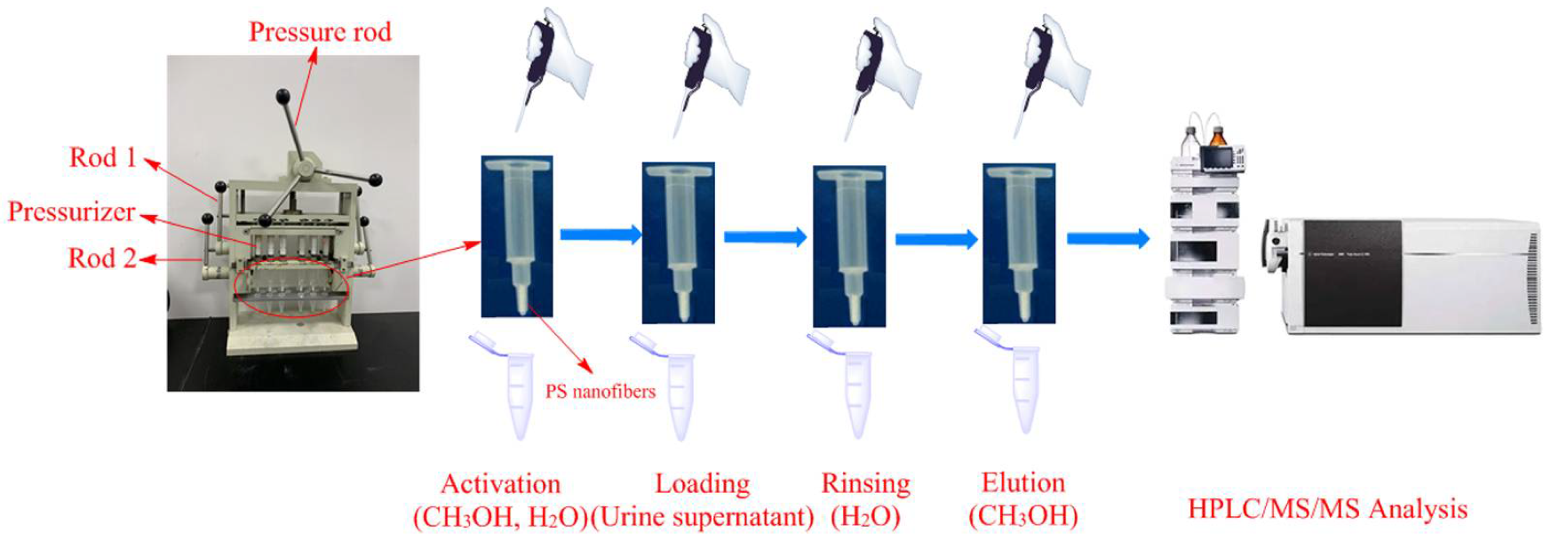 Molecules 27 04417 g004