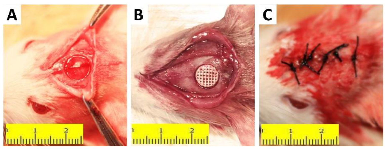 Molecules 27 04535 g010