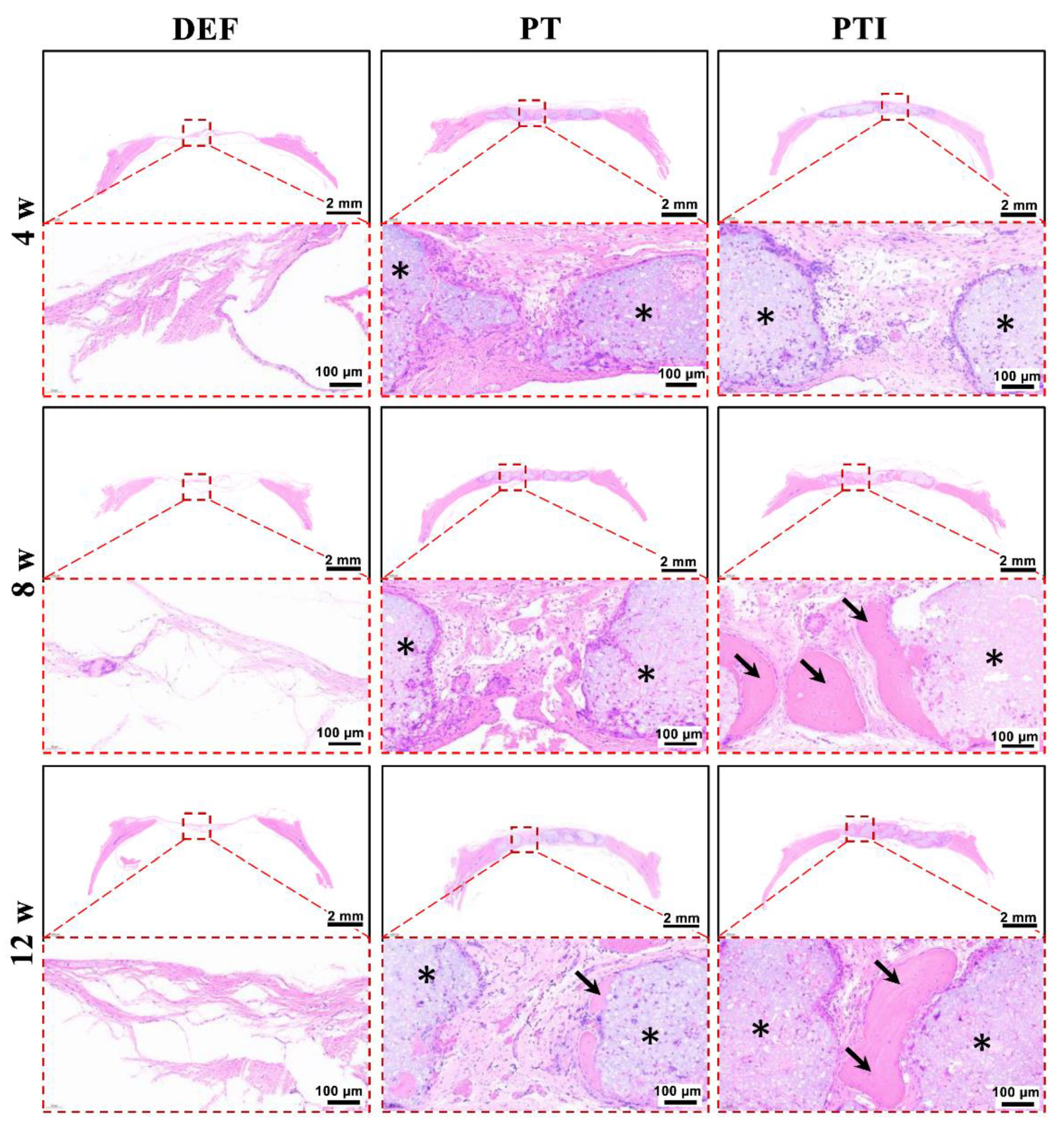 Molecules 27 04535 g012