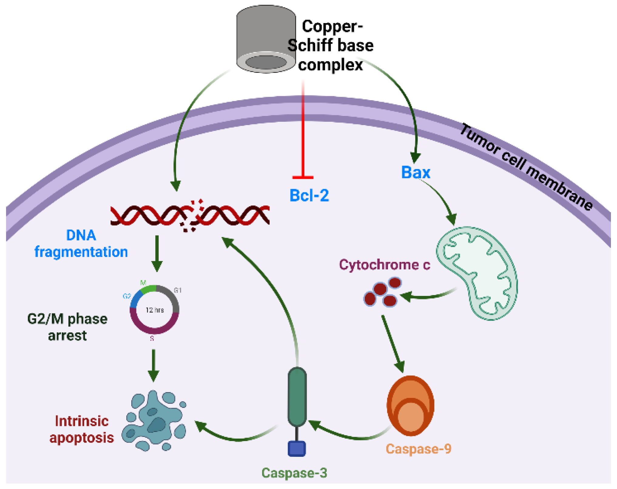 Molecules 27 04597 g001