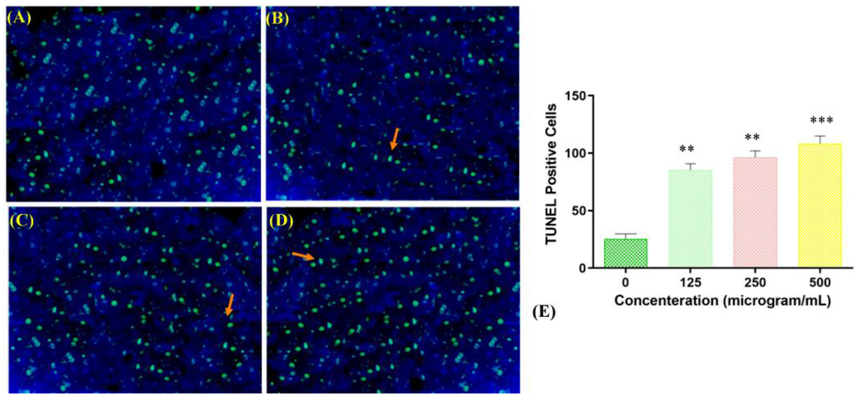 Molecules 27 04597 g007