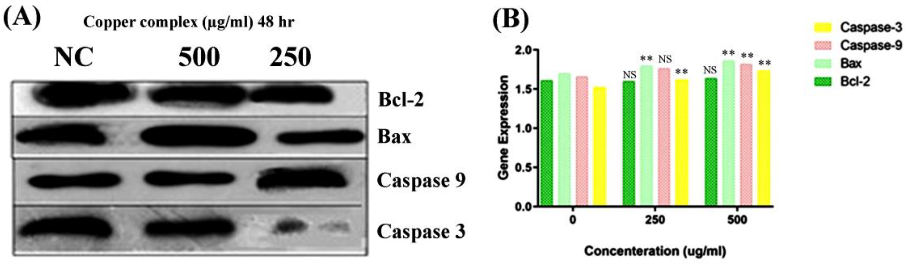 Molecules 27 04597 g009