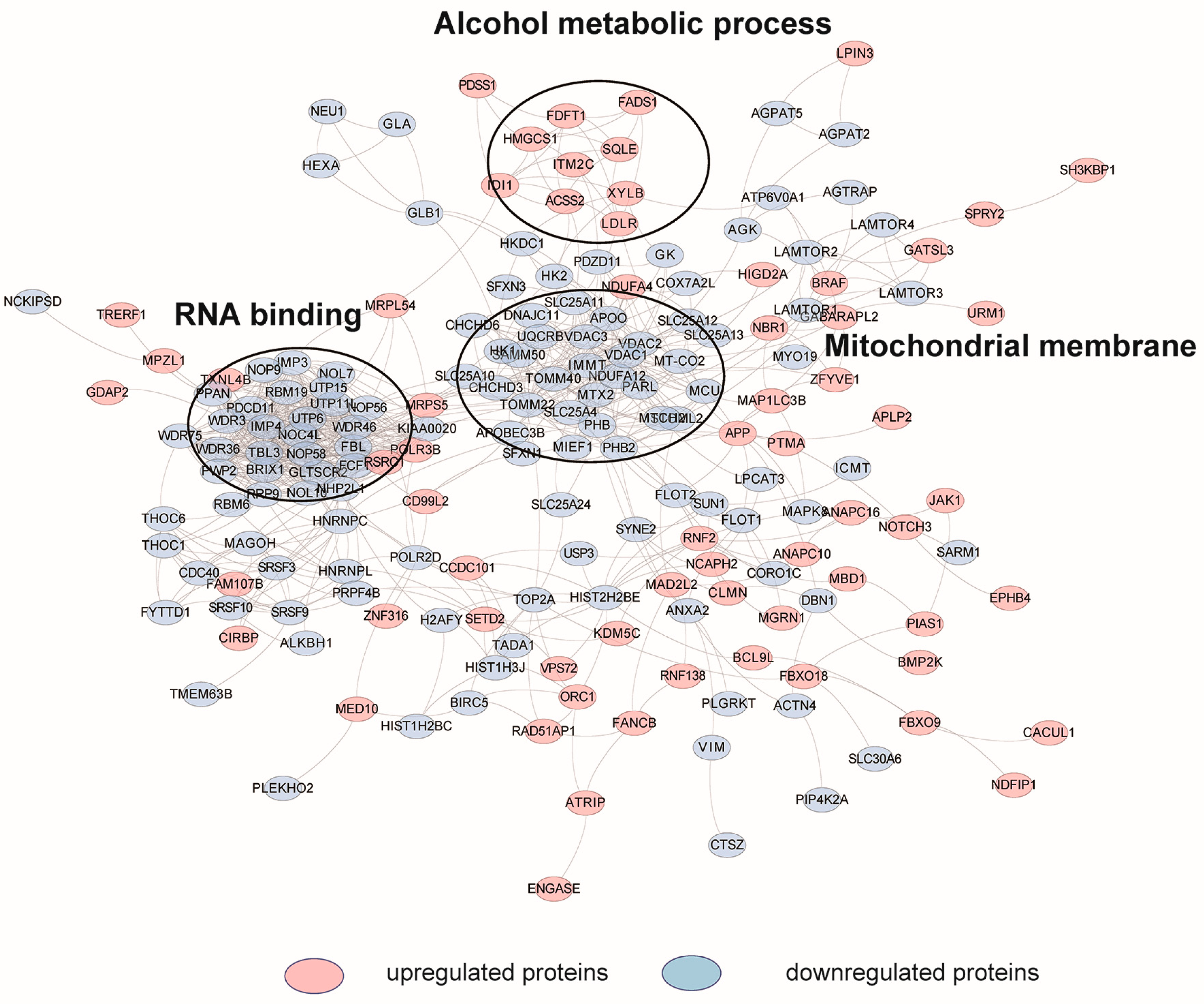 Molecules 27 05175 g005