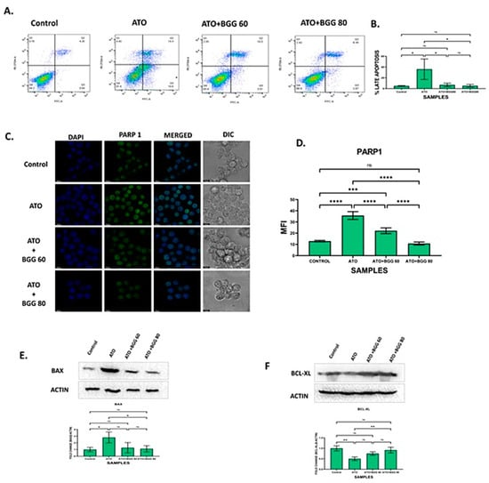 Molecules Free Full Text Glucogallin Attenuates RAW 264 7 Cells