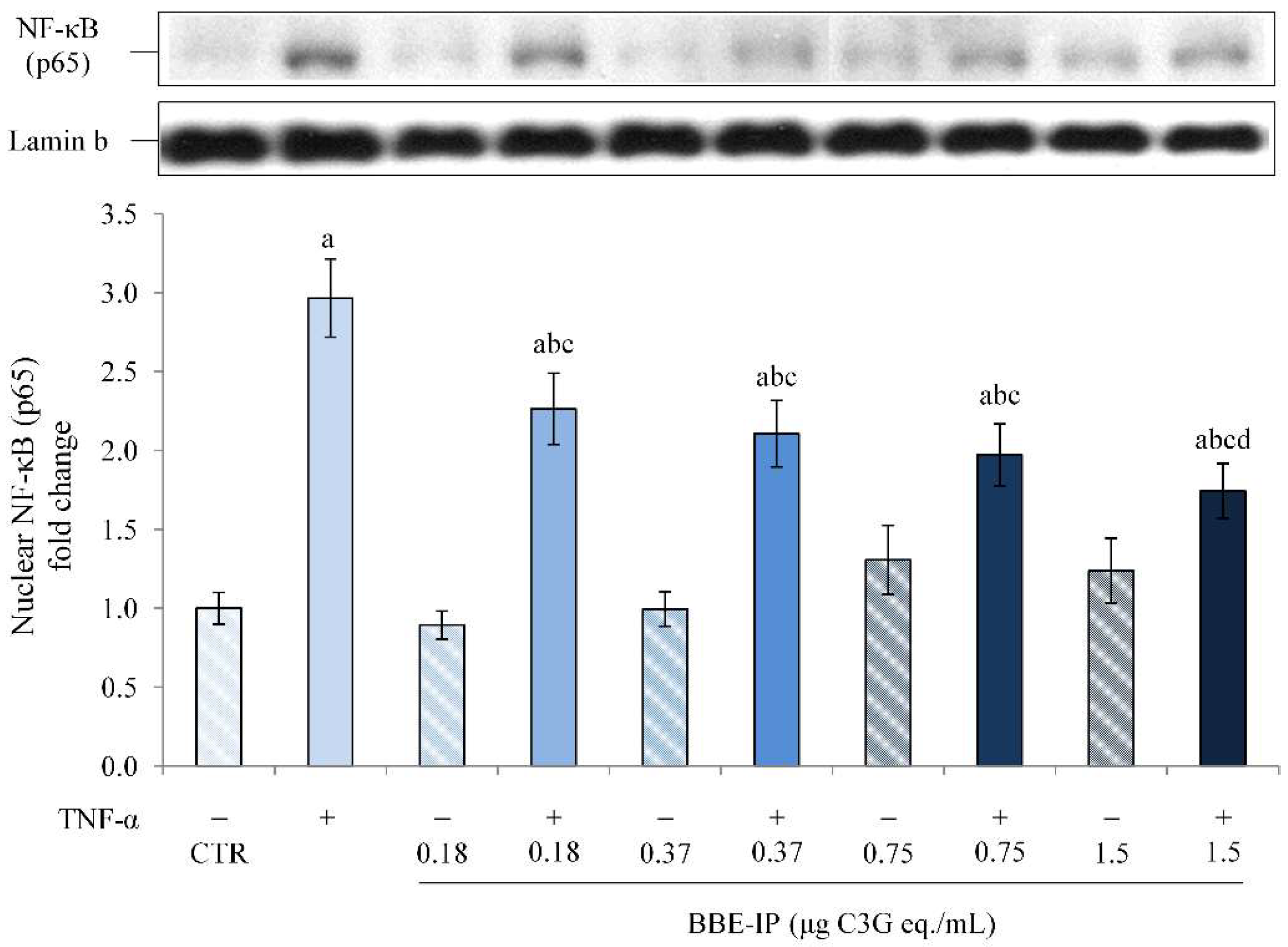 Molecules 27 05368 g004