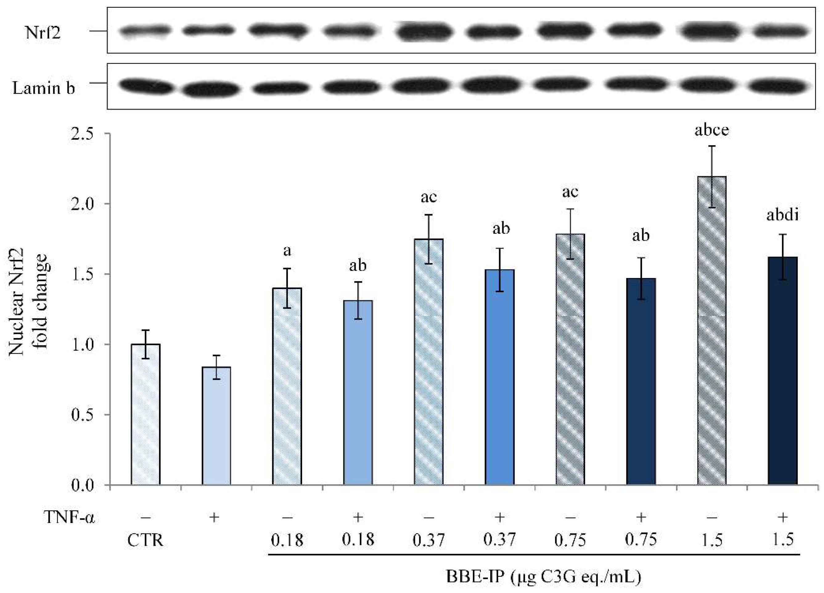 Molecules 27 05368 g006
