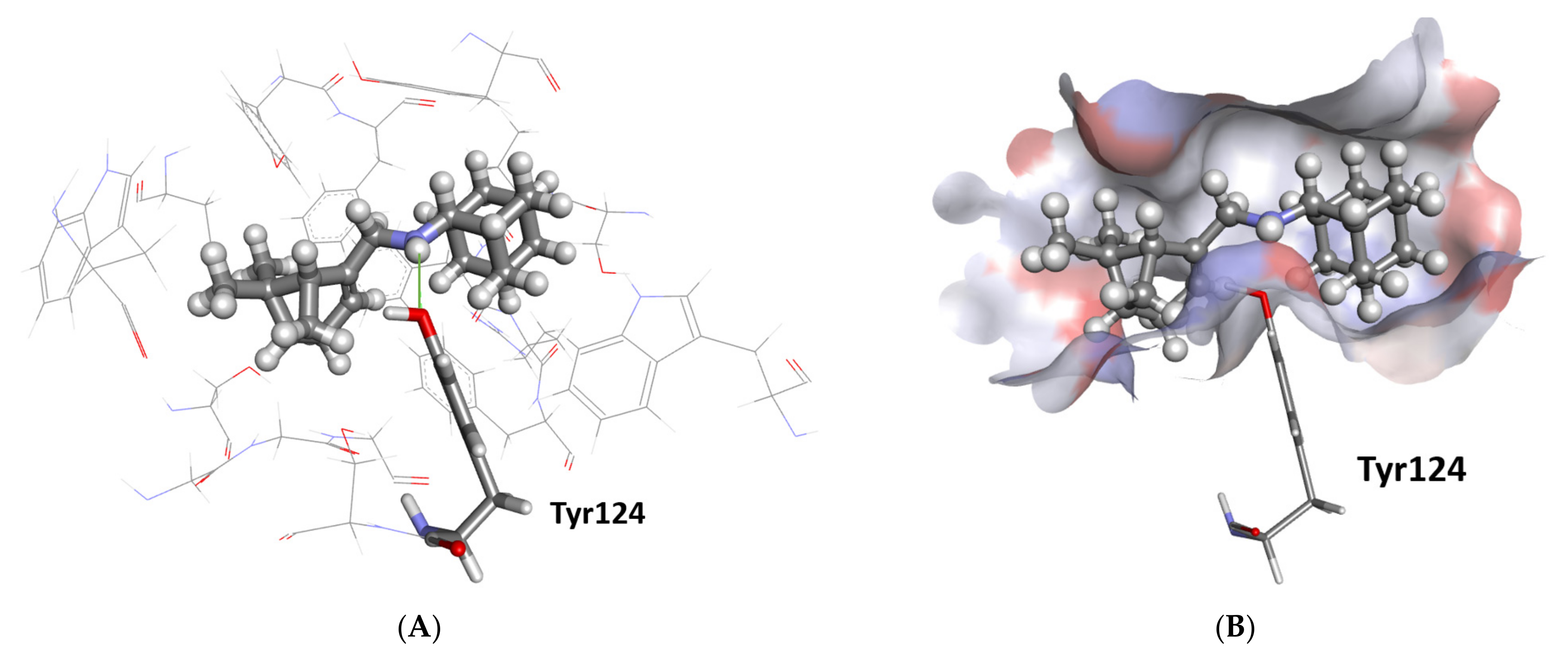 Molecules 27 05456 g005