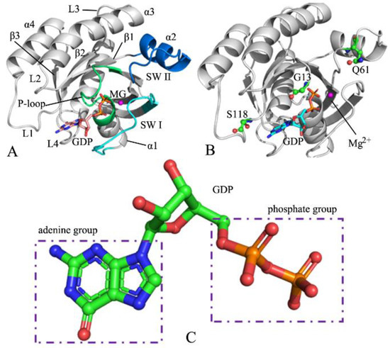 Molecules Free Full Text Deciphering Conformational Changes Of The