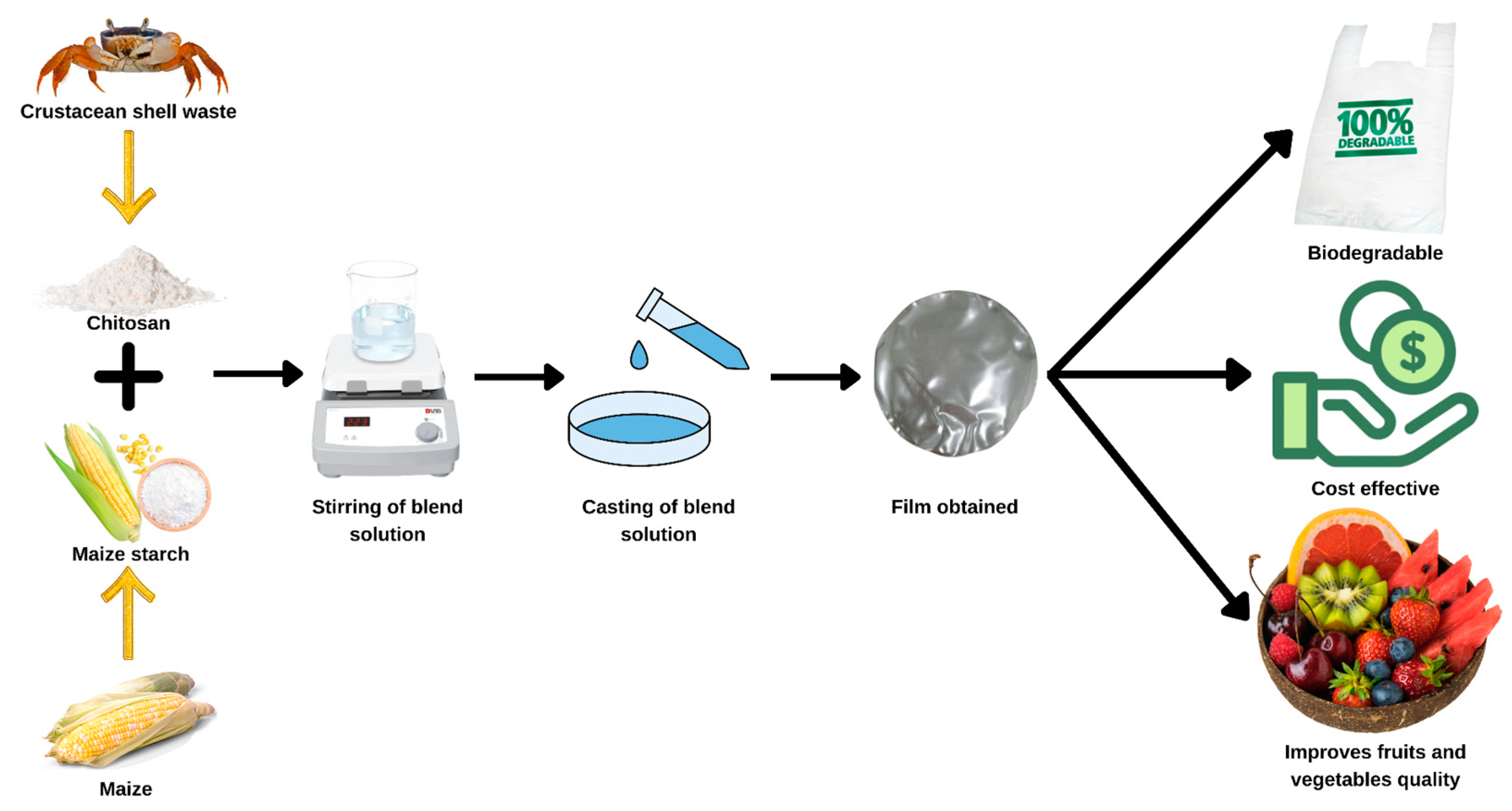 Molecules 27 05604 g003